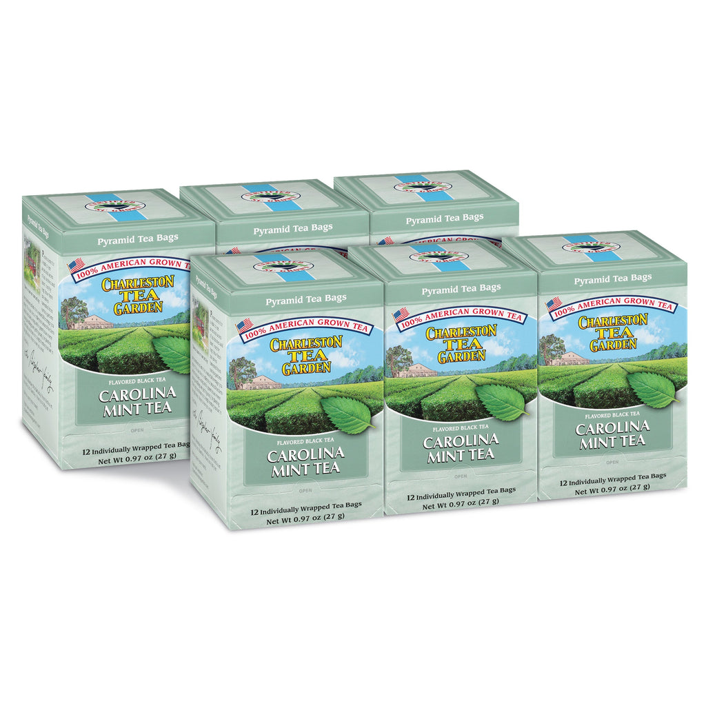 Carolina Mint Black Tea Pyramid Bags