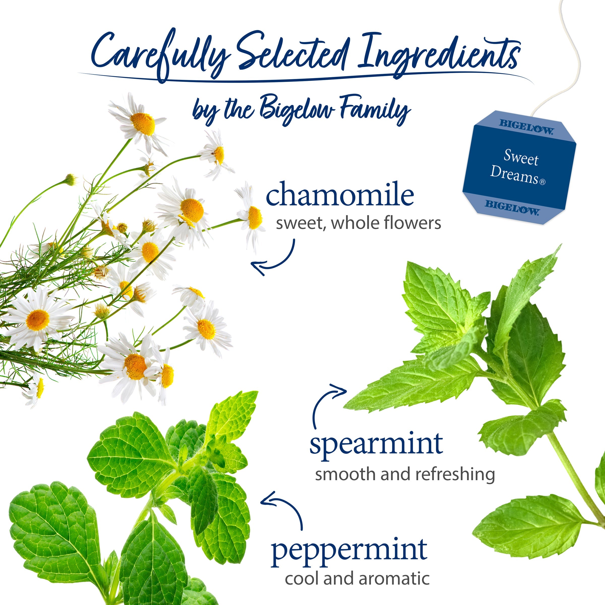 Sweet Dreams® Herbal Tea