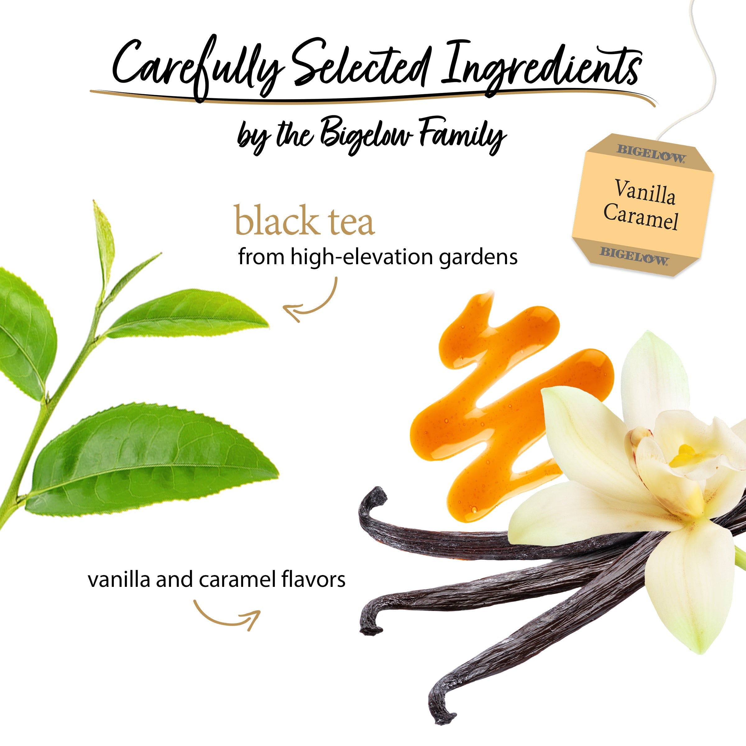 Vanilla Caramel Black Tea