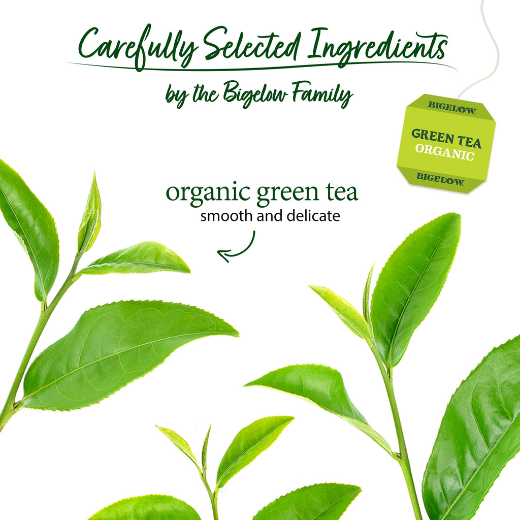 Organic Green Tea 40 Count
