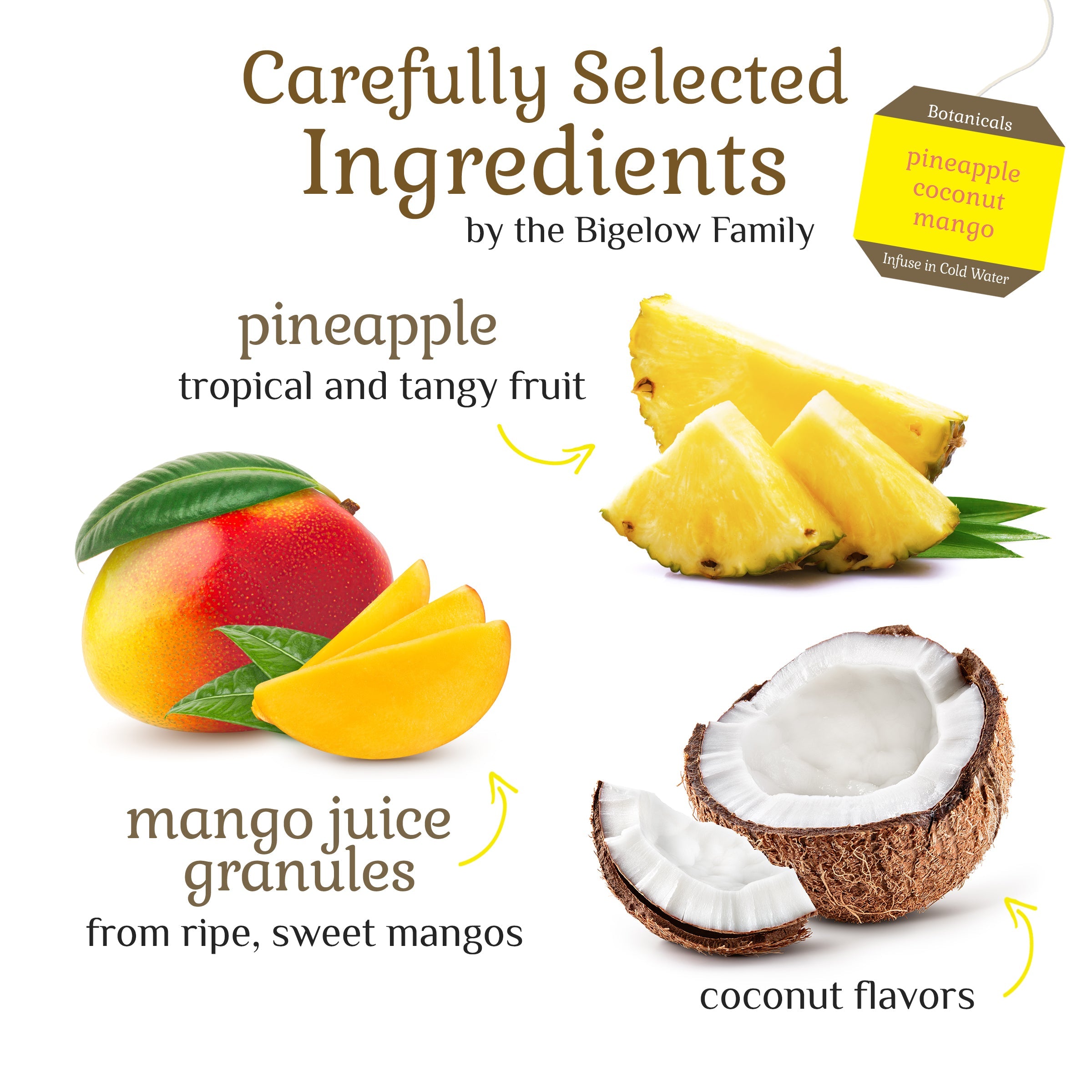 Pineapple Coconut Mango Cold Water Infusion
