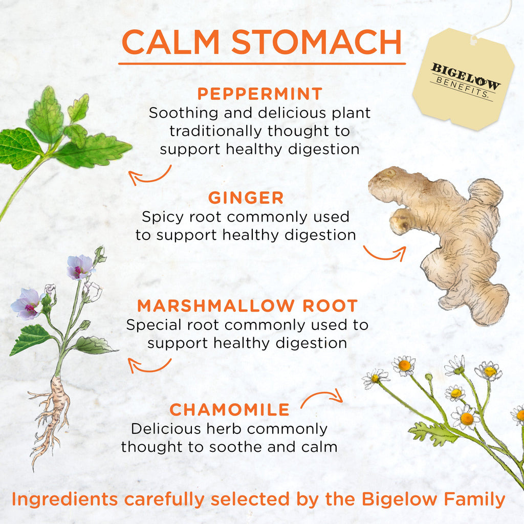 Calm Stomach Ginger and Peach Herbal Tea