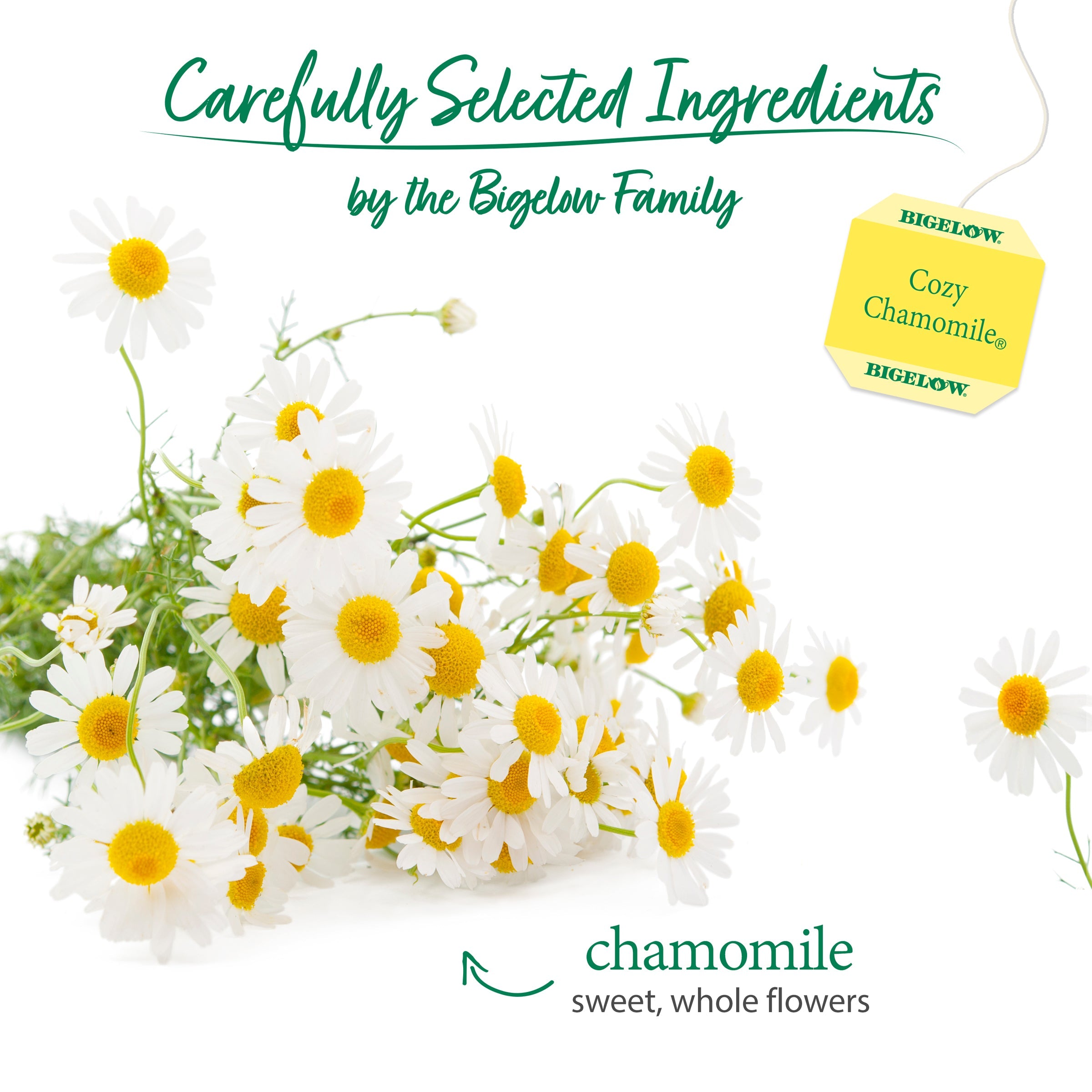 Cozy Chamomile® Herbal Tea