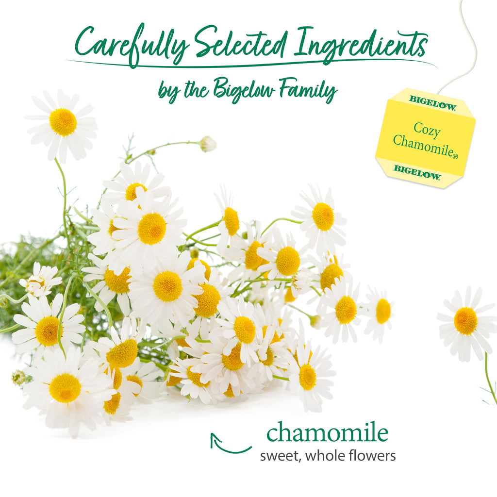 Cozy Chamomile® Herbal Tea
