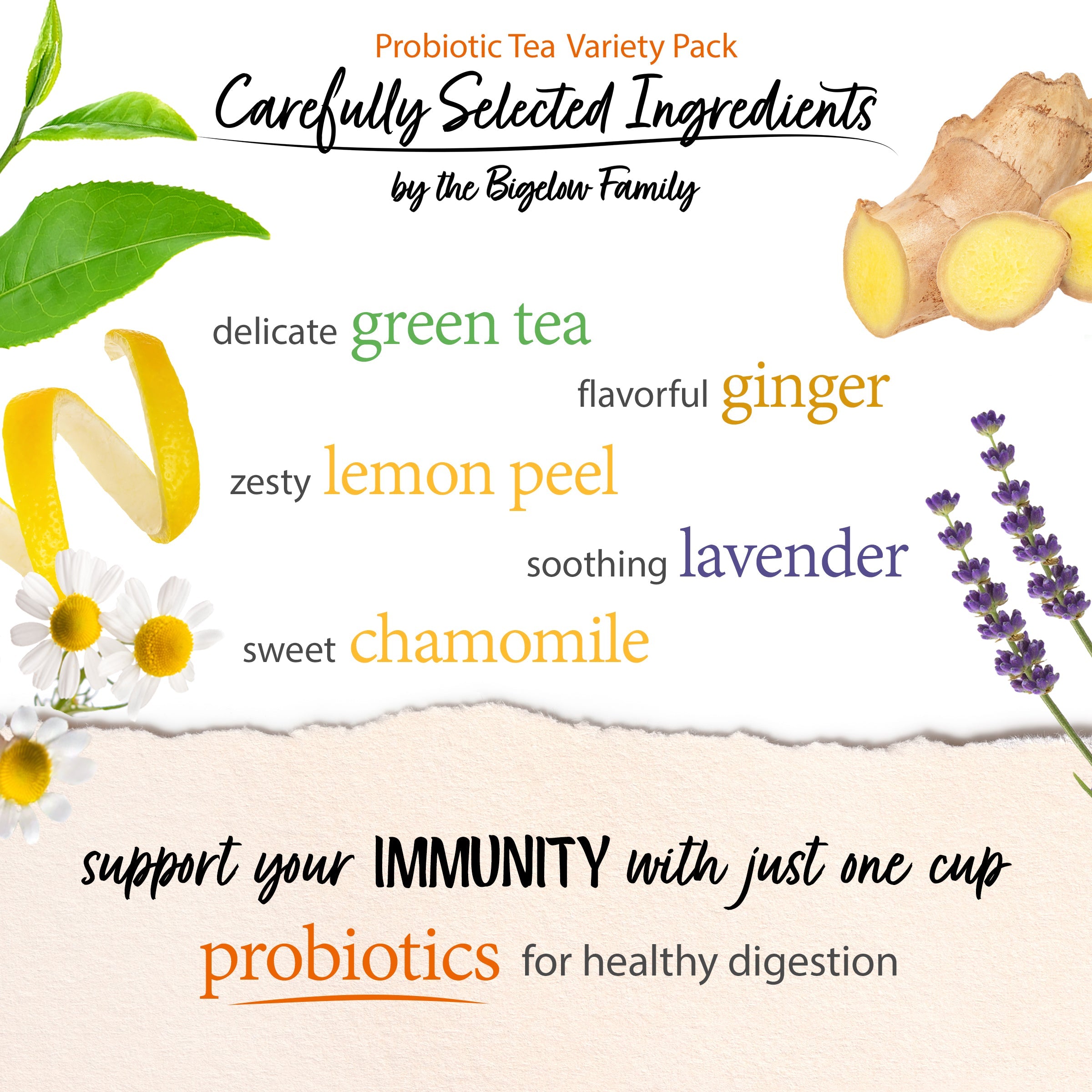 Probiotic Tea Variety Pack