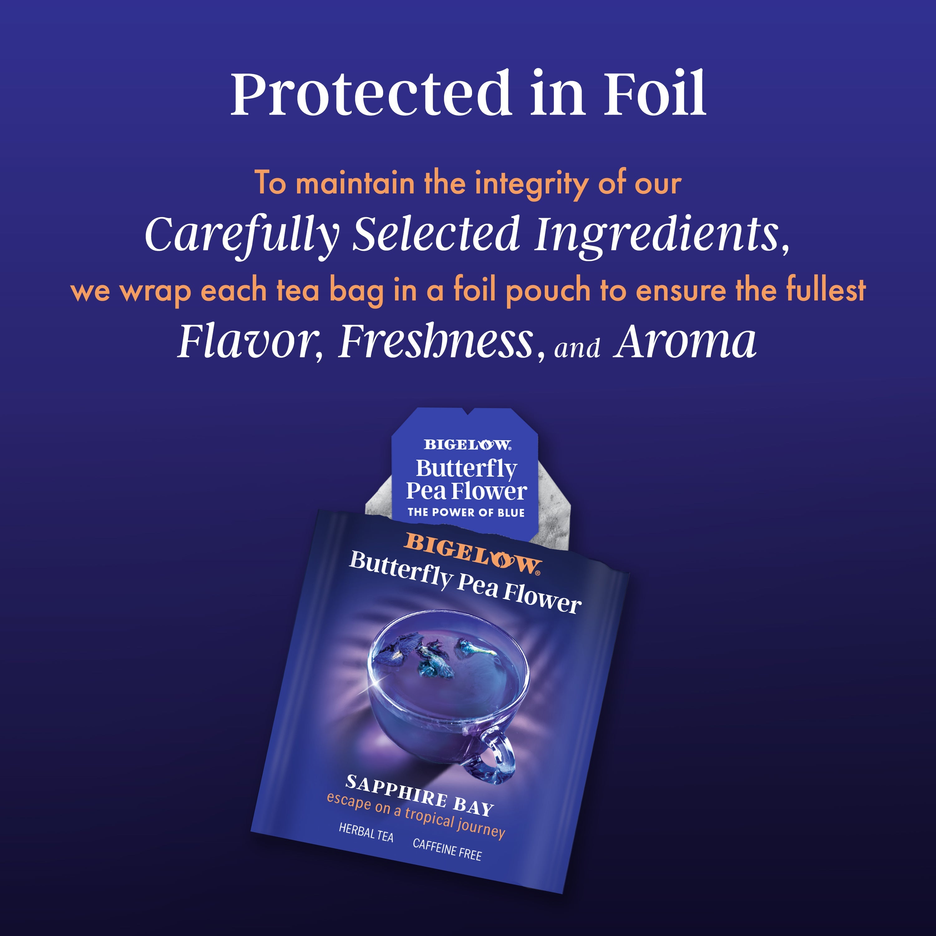 Butterfly Pea Flower Sapphire Bay Herbal Tea