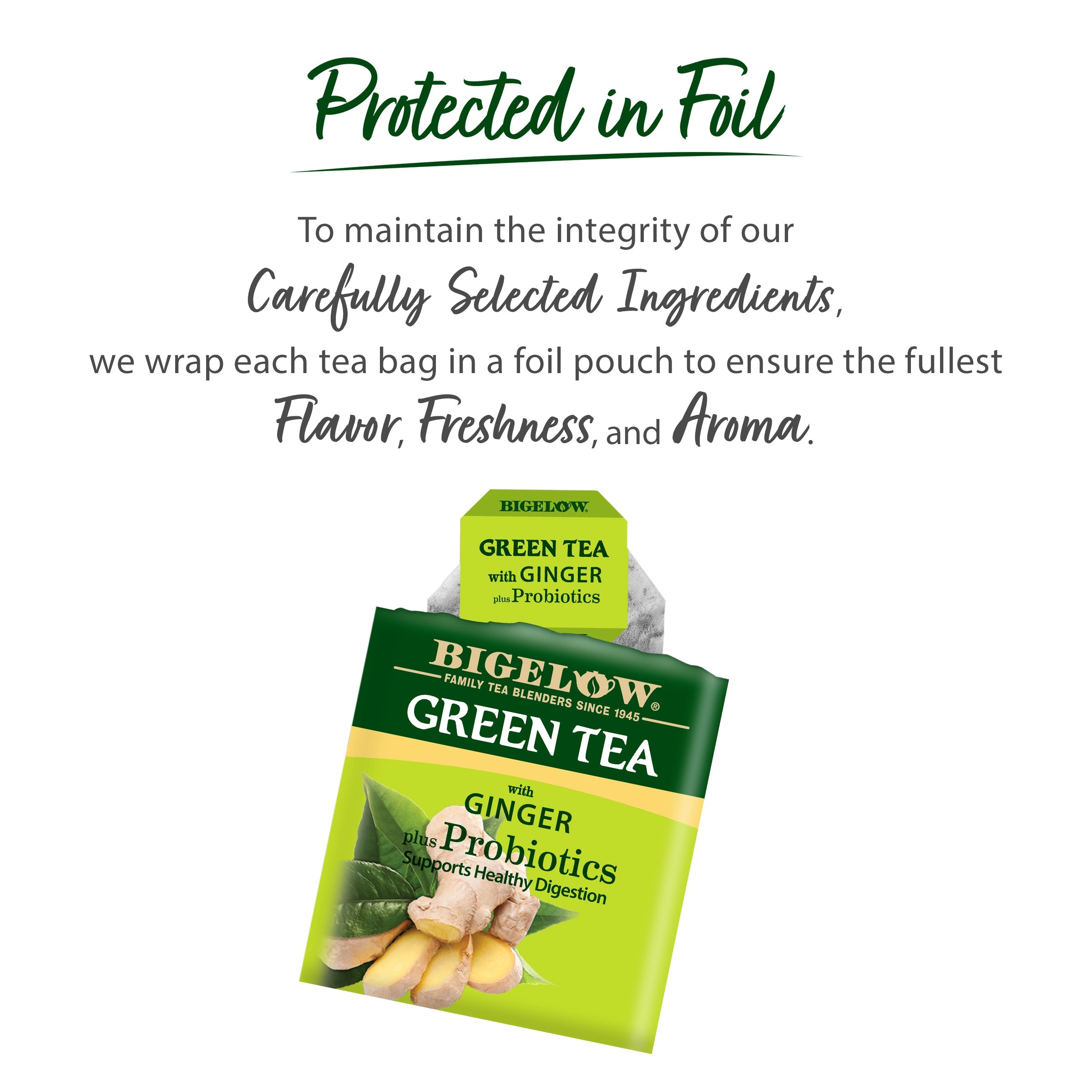Green Tea with Ginger plus Probiotics