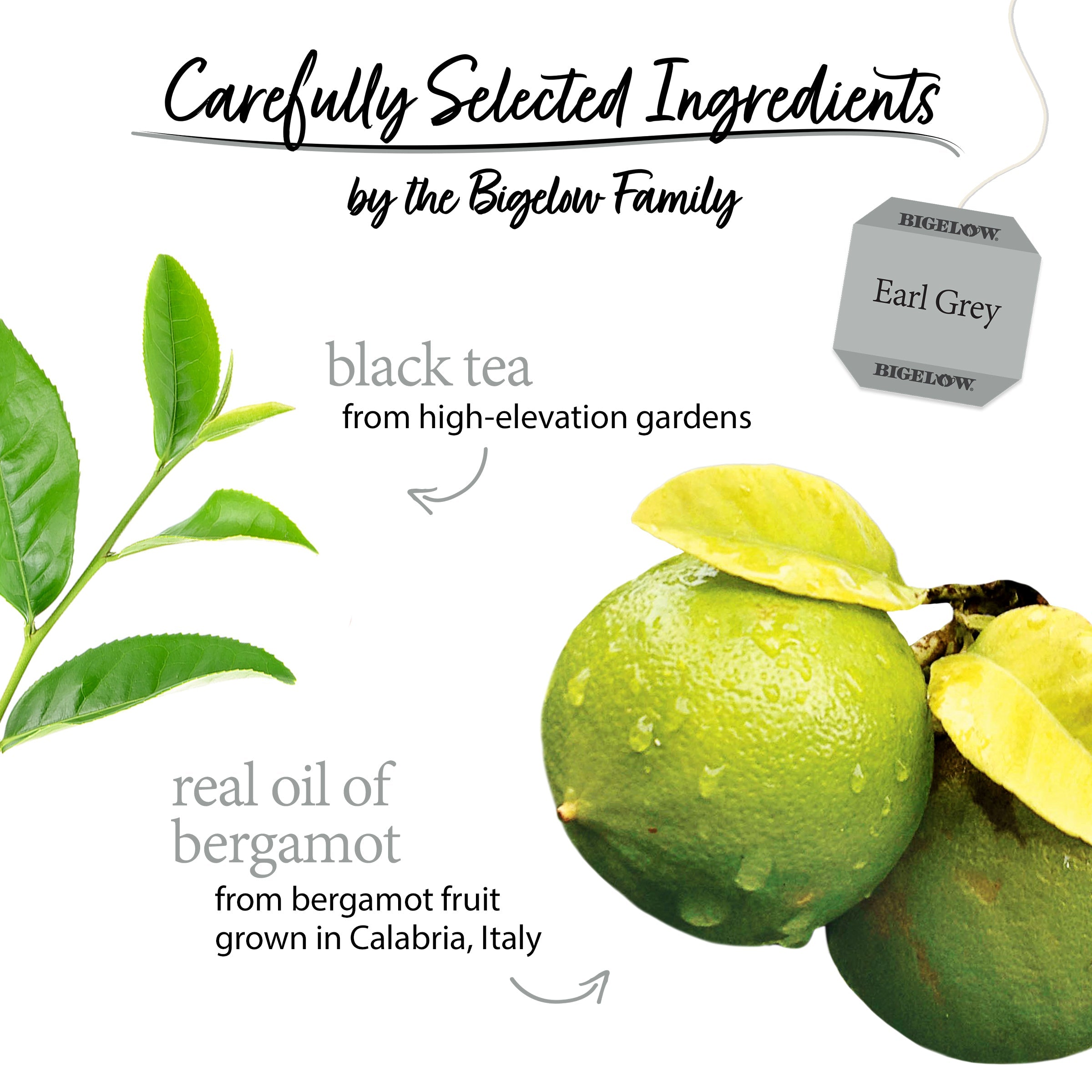 Earl Grey Black Tea 40 Count