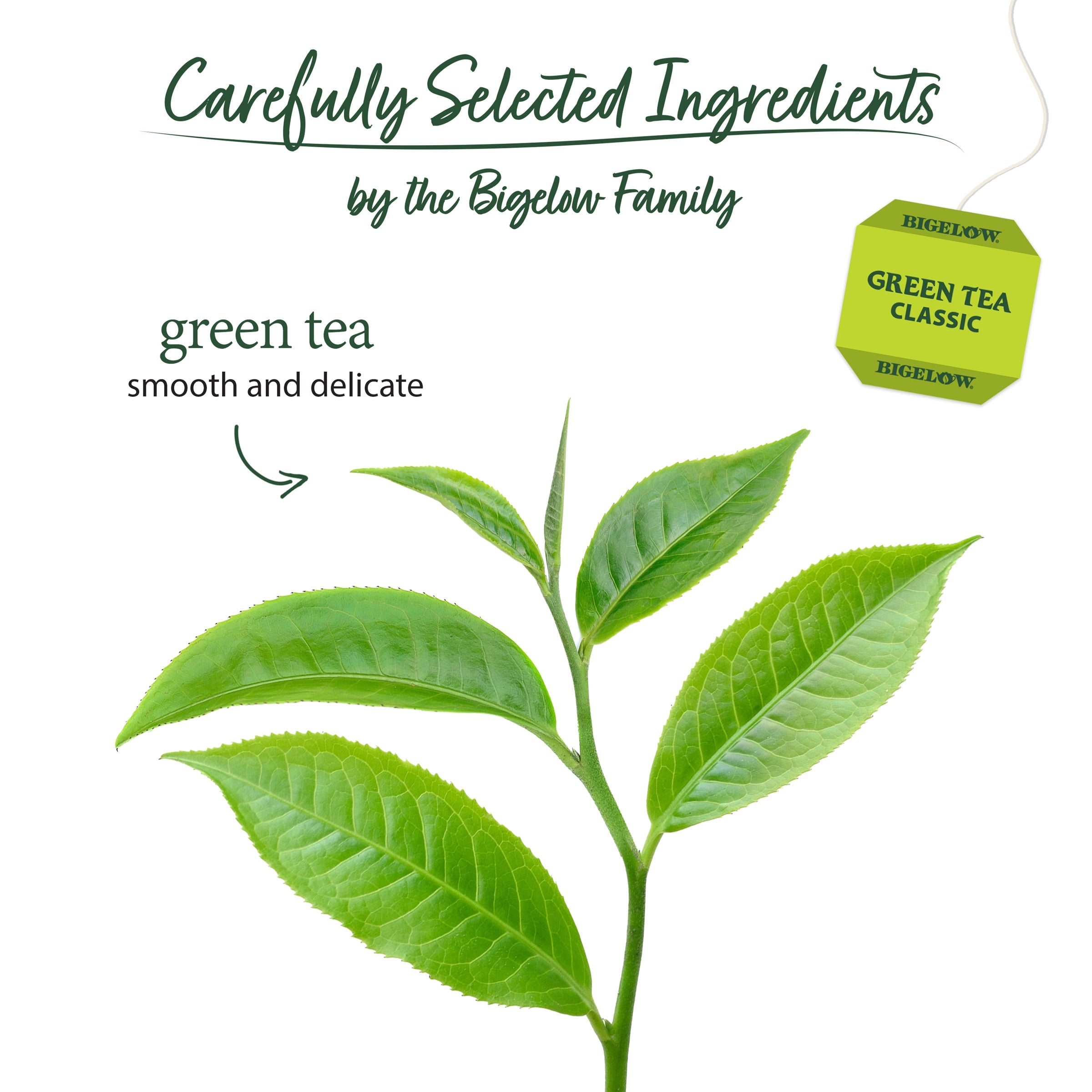 Green Tea