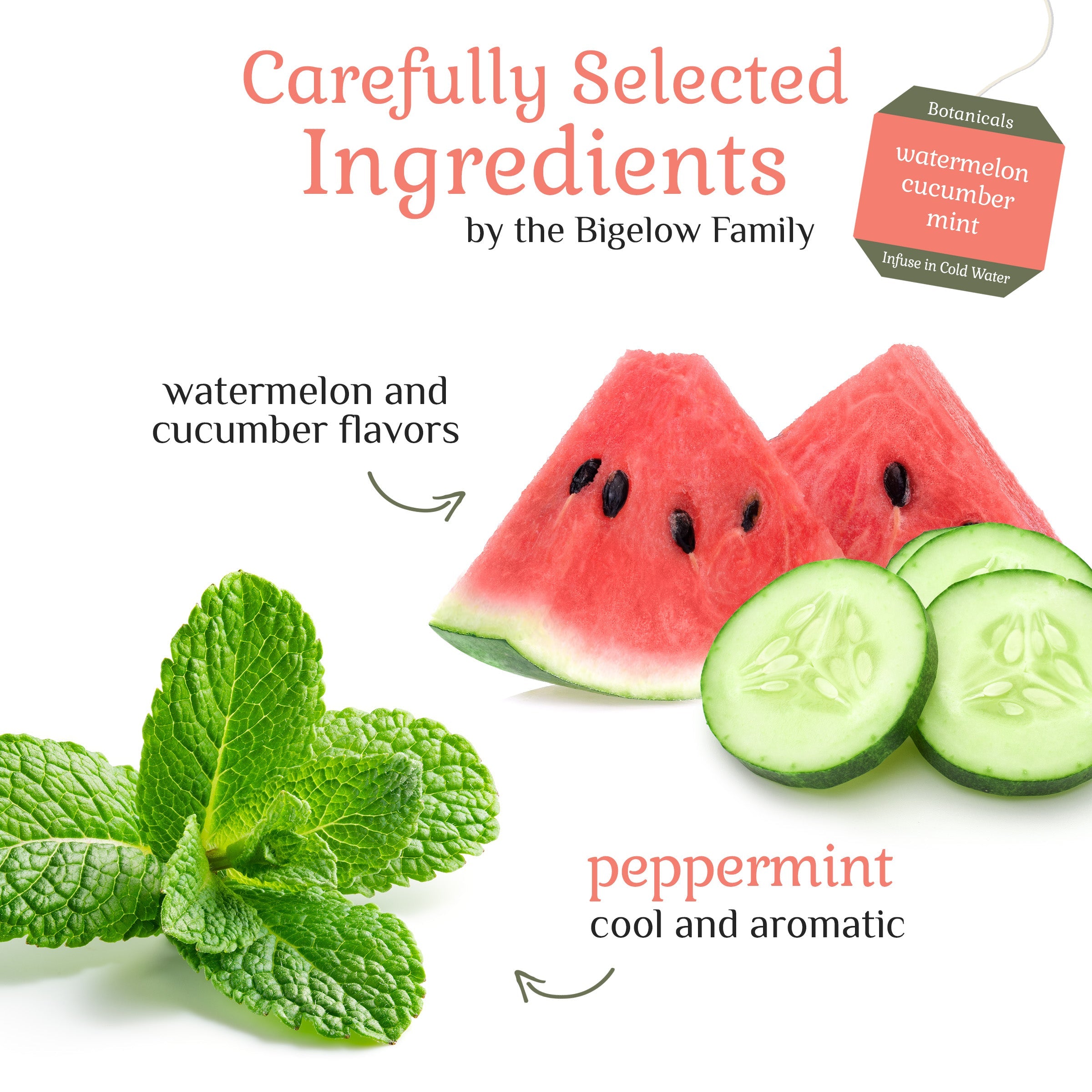 Watermelon Cucumber Mint Cold Water Infusion