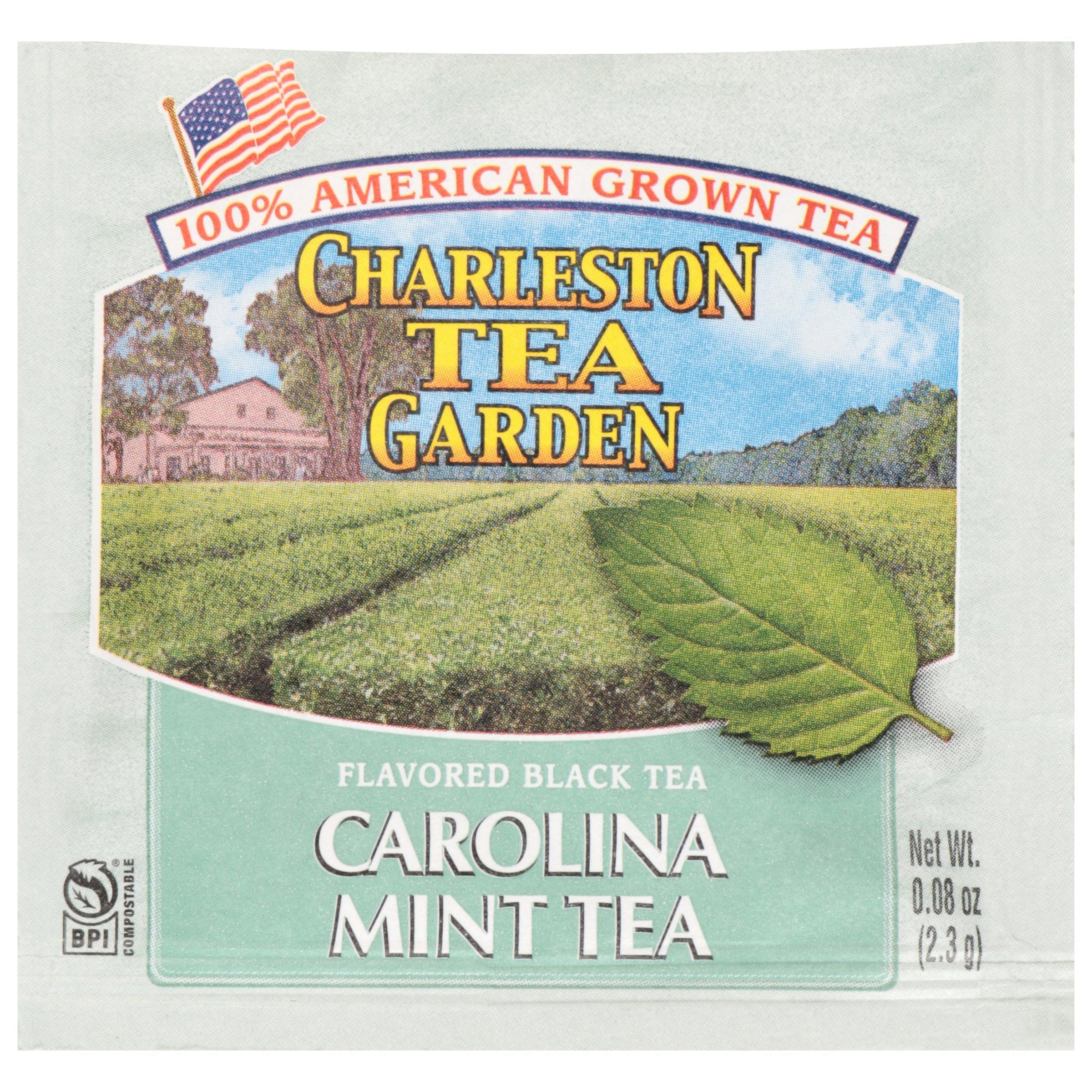 Carolina Mint Black Tea Pyramid Bags