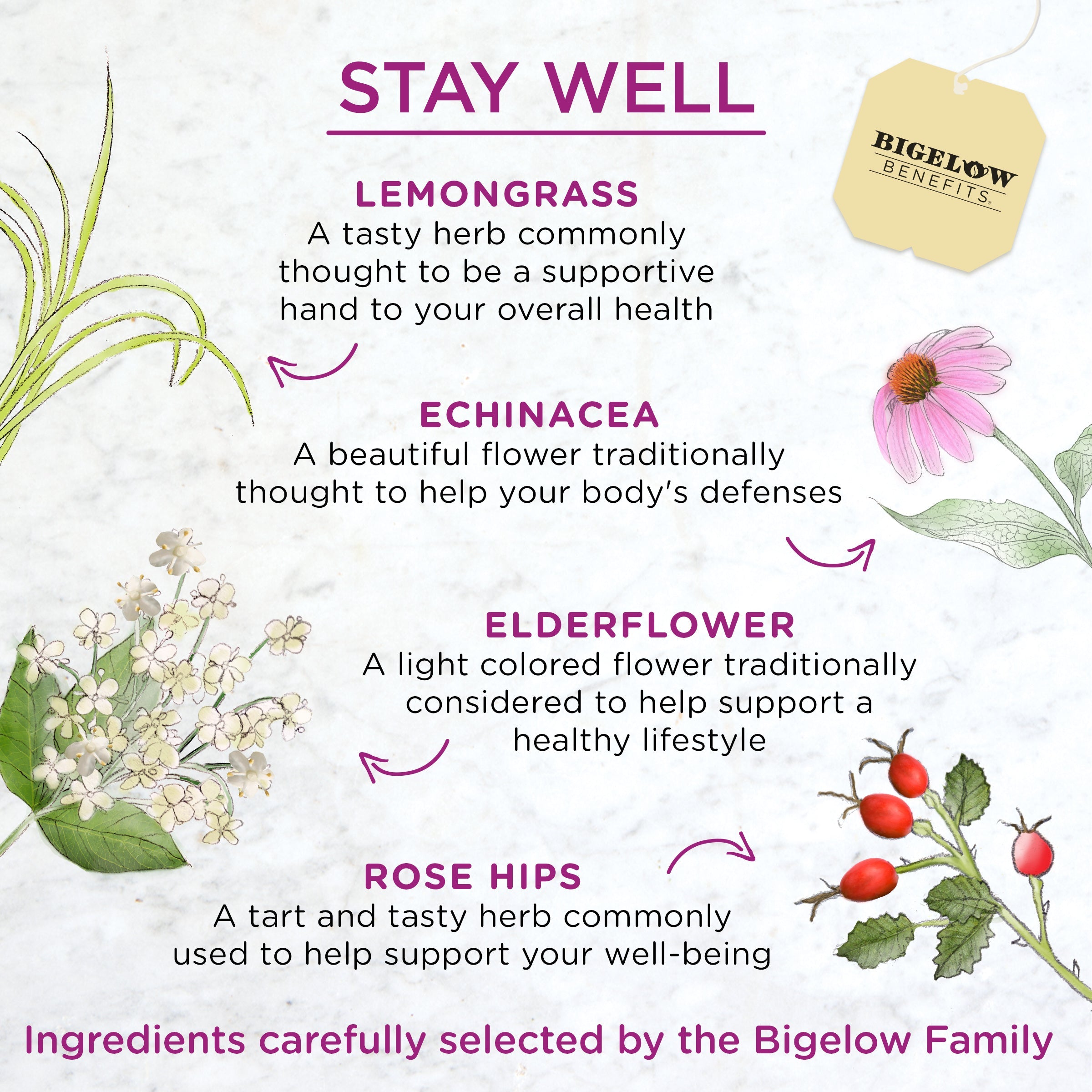 Stay Well Lemon and  Echinacea Herbal Tea