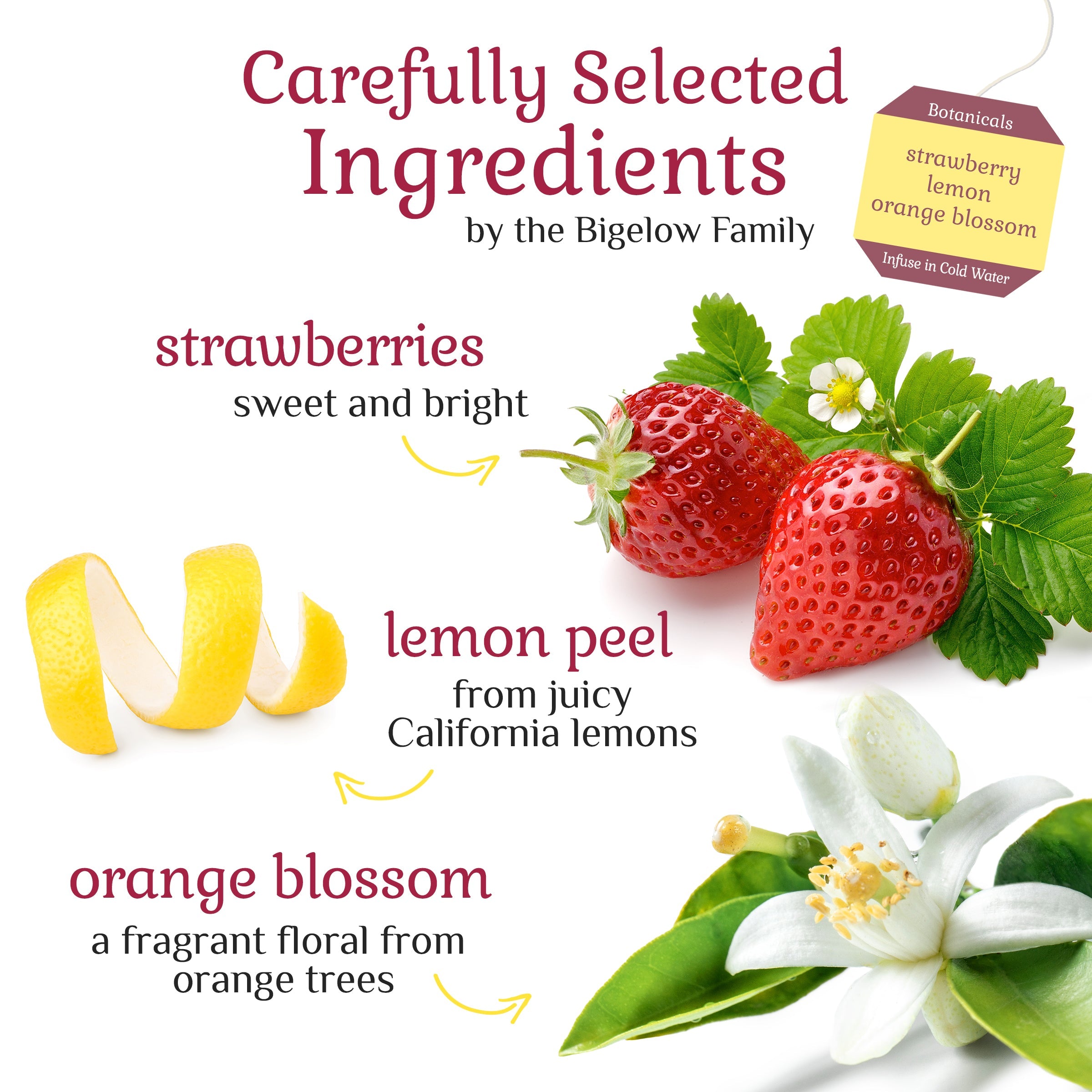 Strawberry Lemon Orange Blossom Cold Water Infusion
