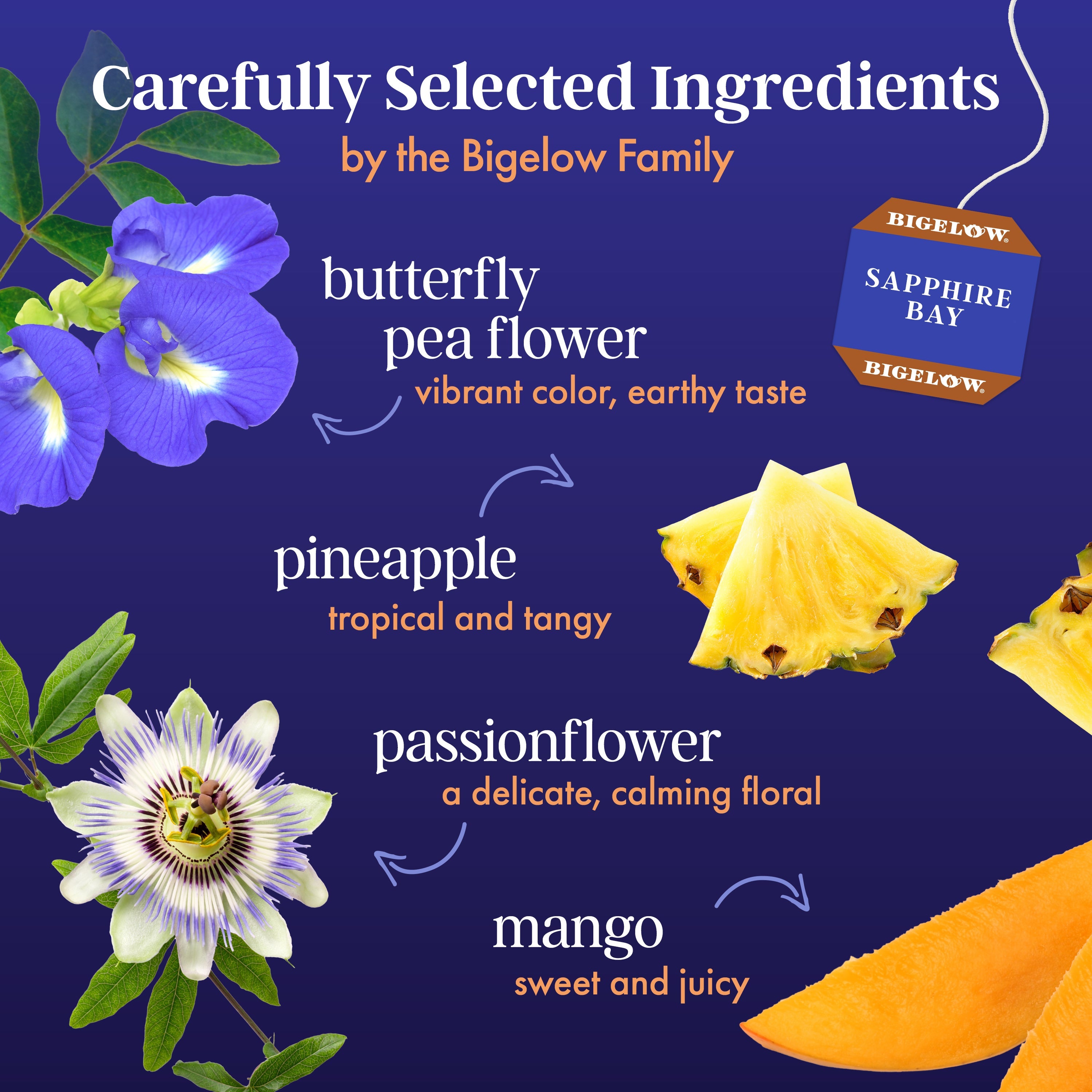 Butterfly Pea Flower Sapphire Bay Herbal Tea
