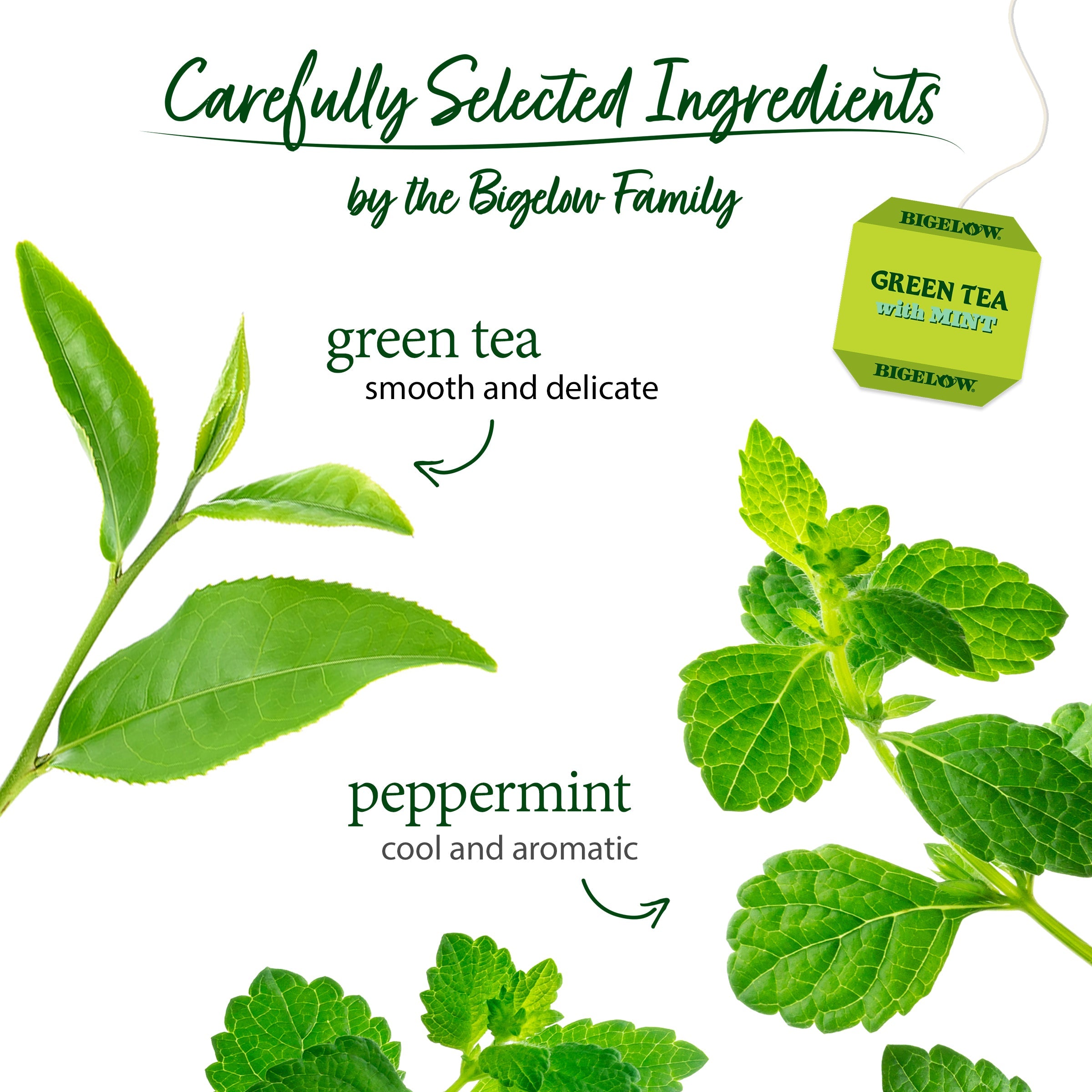 Green Tea with Mint