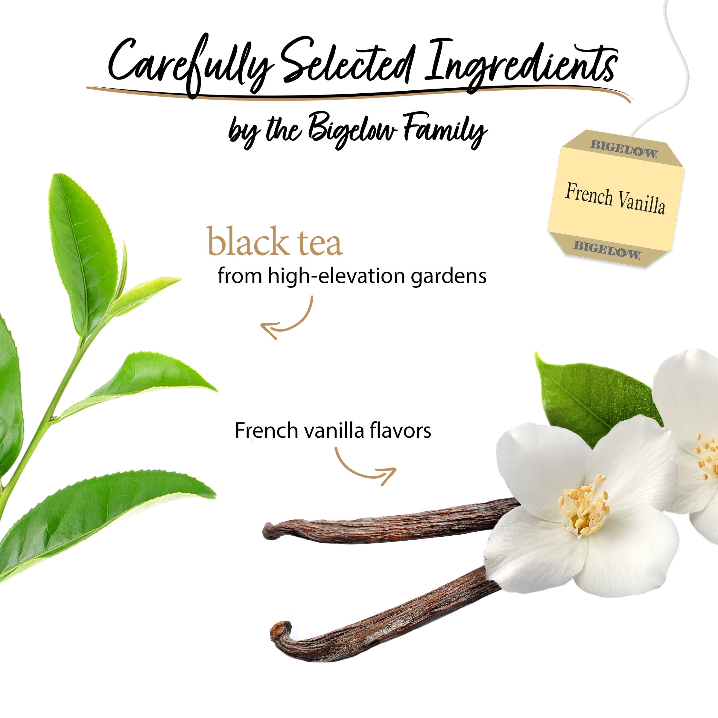 French Vanilla Black Tea