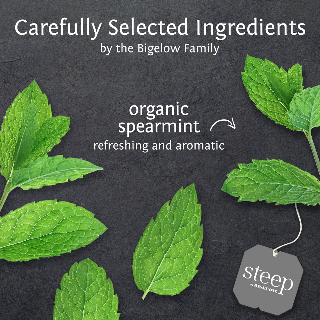 organic mint herbal tea