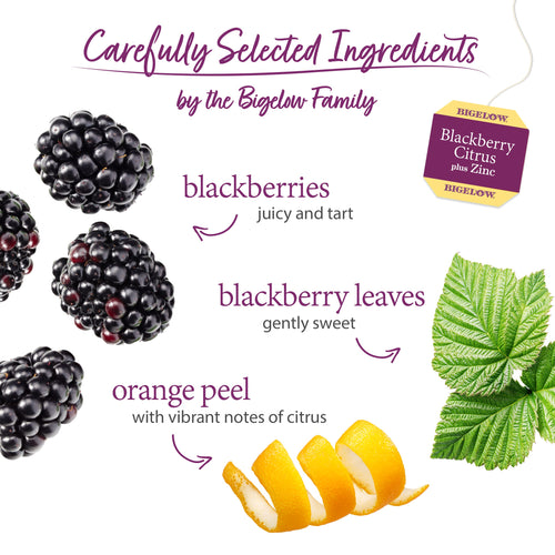 Blackberry Citrus Plus Zinc Herbal Tea