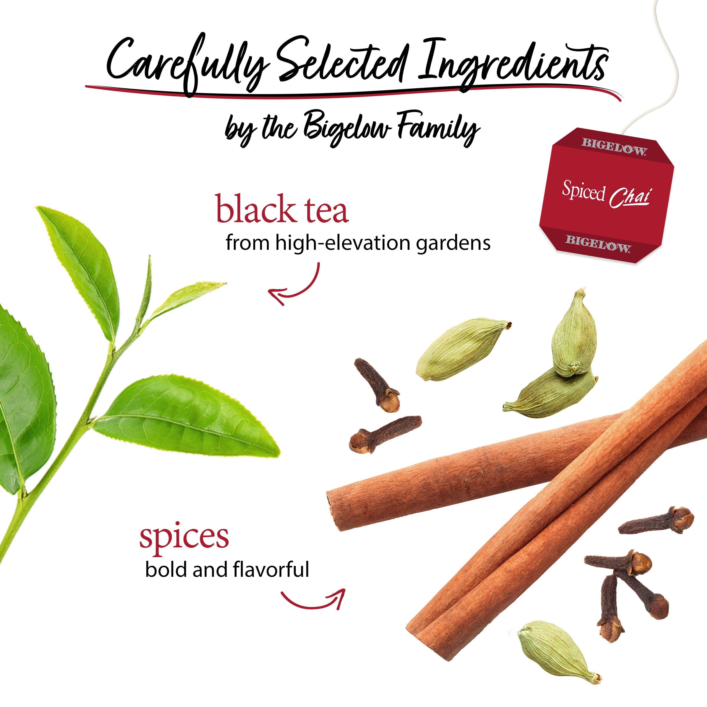 Spiced Chai Black Tea