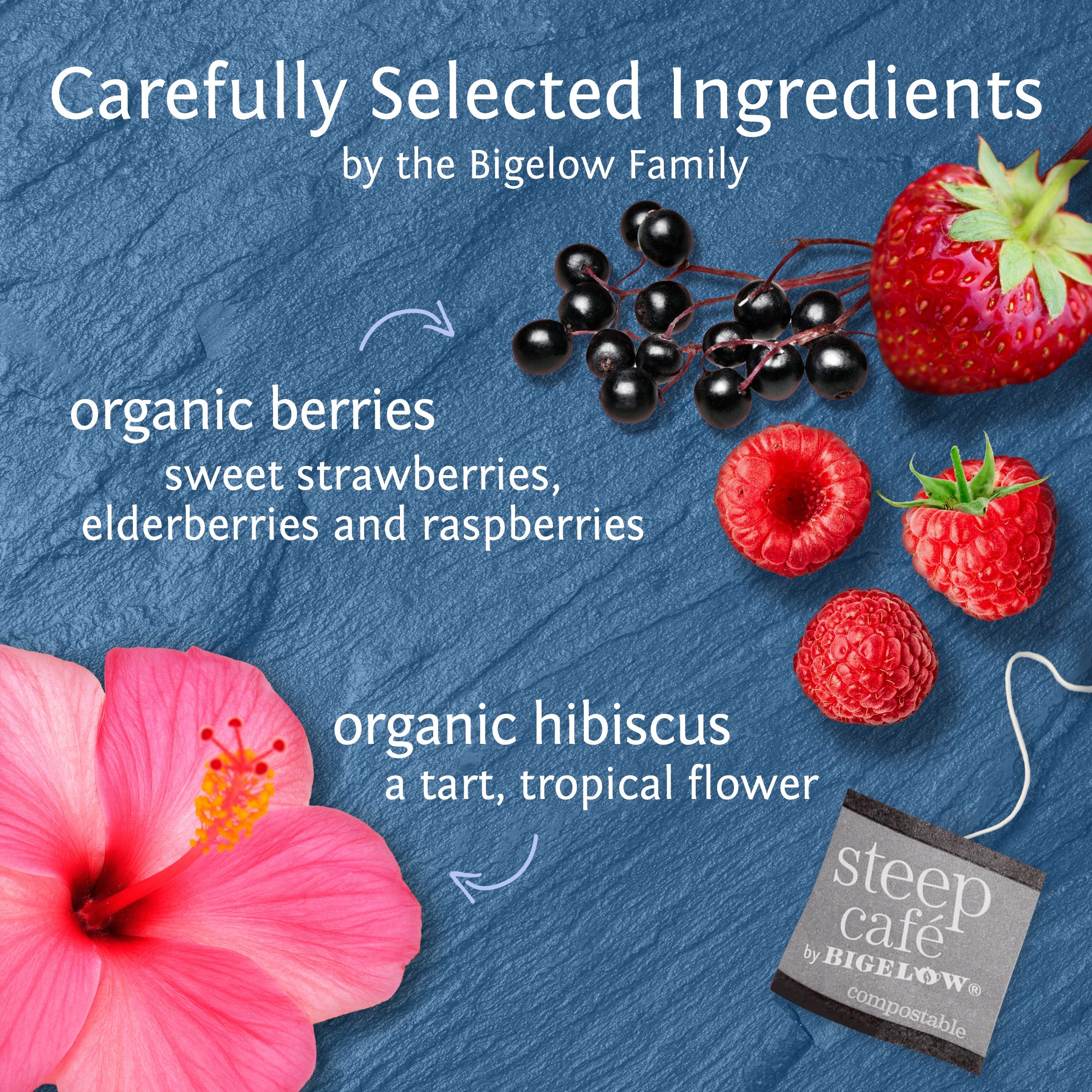 organic wildberry hibiscus full leaf herbal tea
