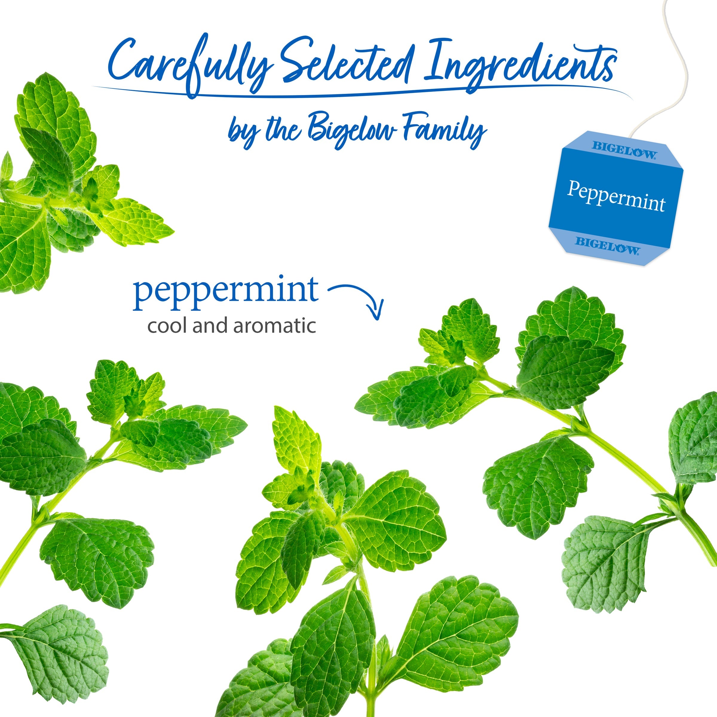 Peppermint Herbal Tea