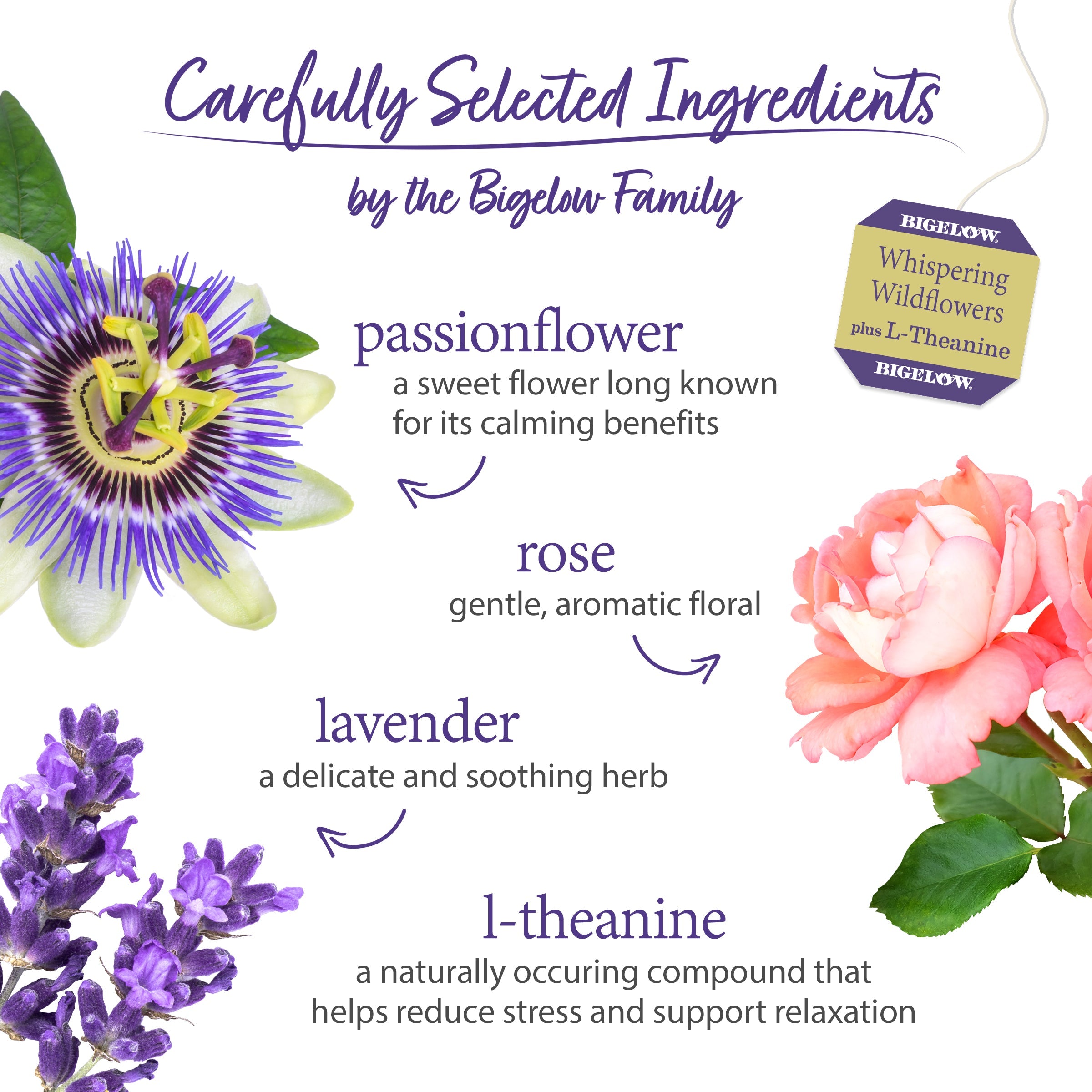Whispering Wildflowers™ plus L-Theanine Herbal Tea