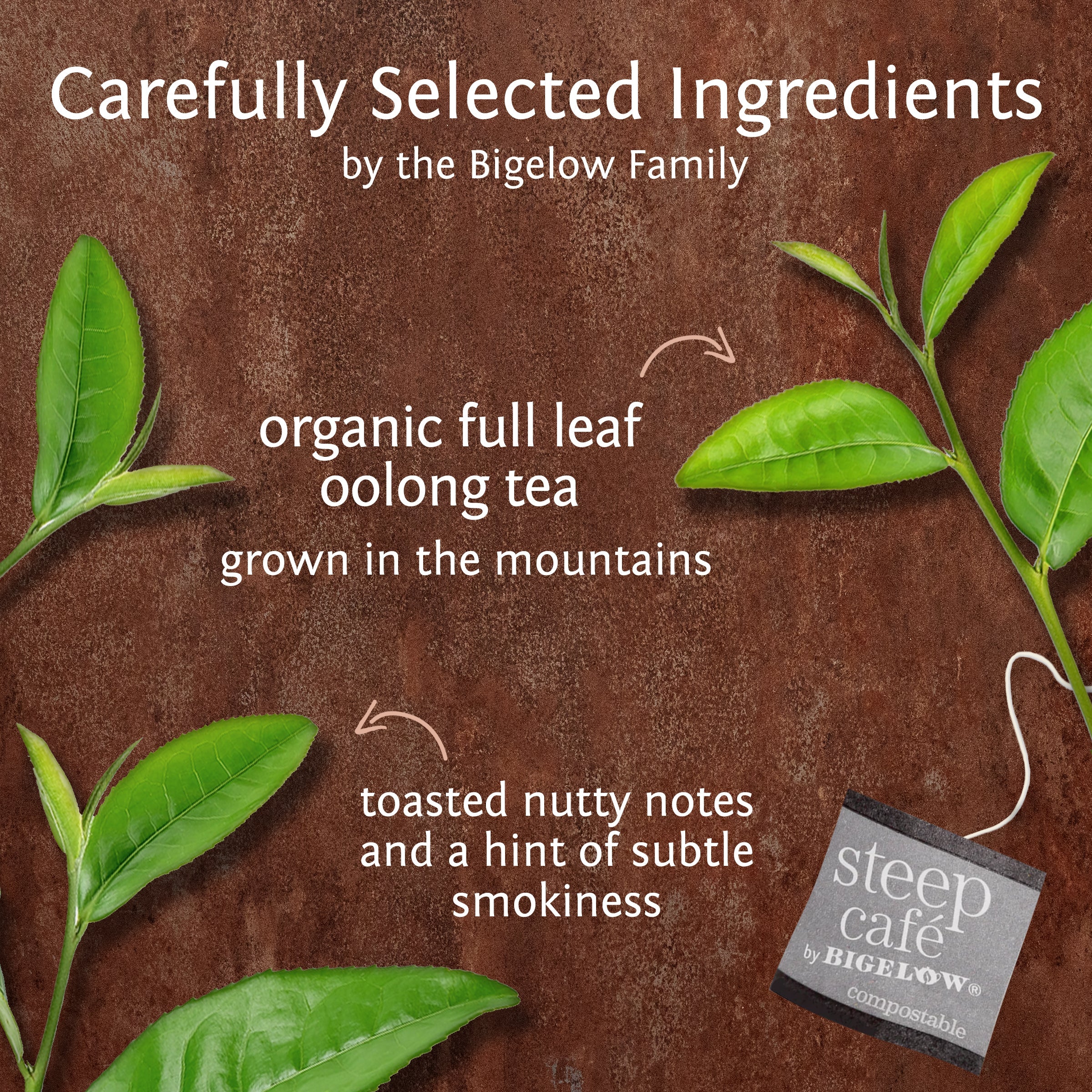 organic full leaf oolong tea