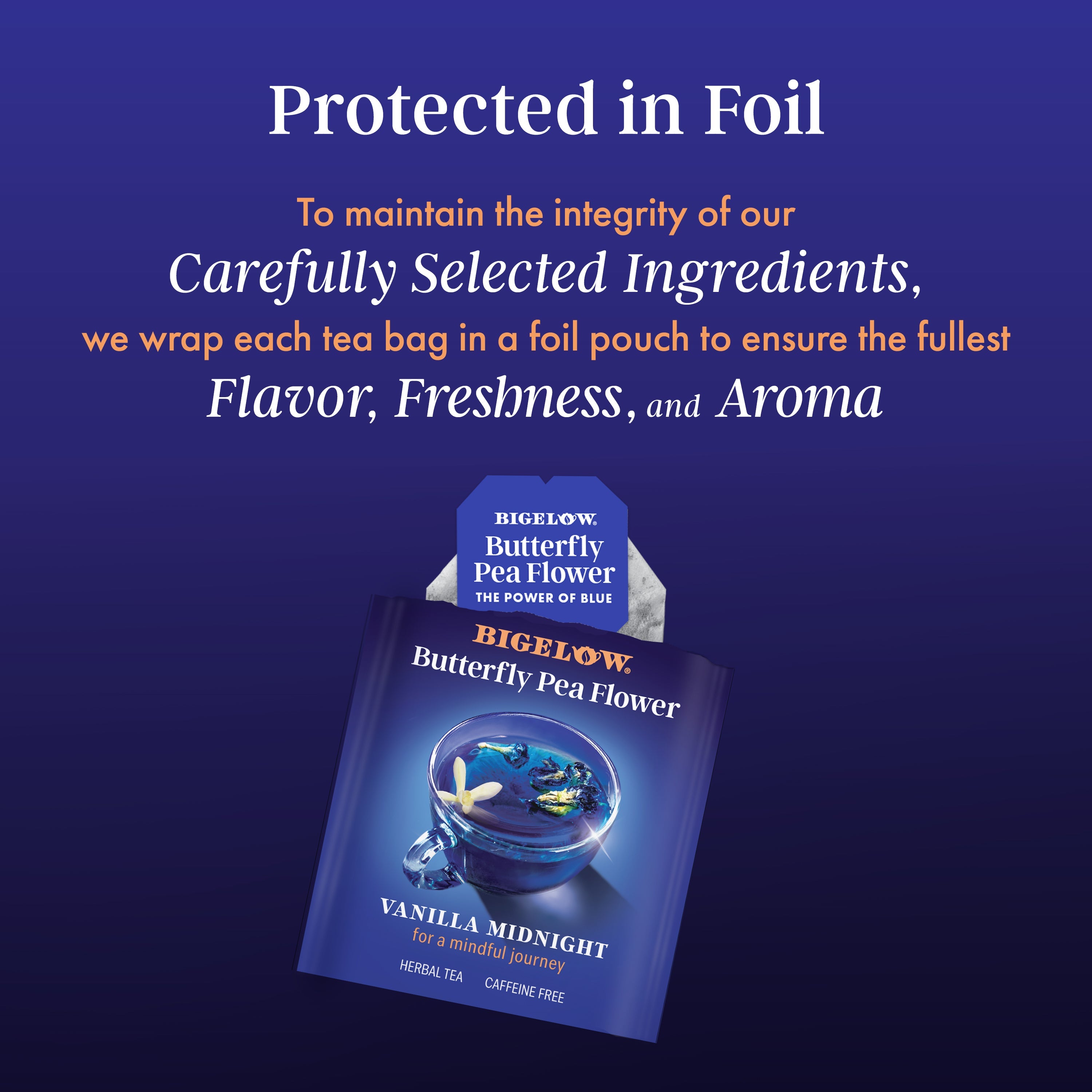 Butterfly Pea Flower Vanilla Midnight Herbal Tea