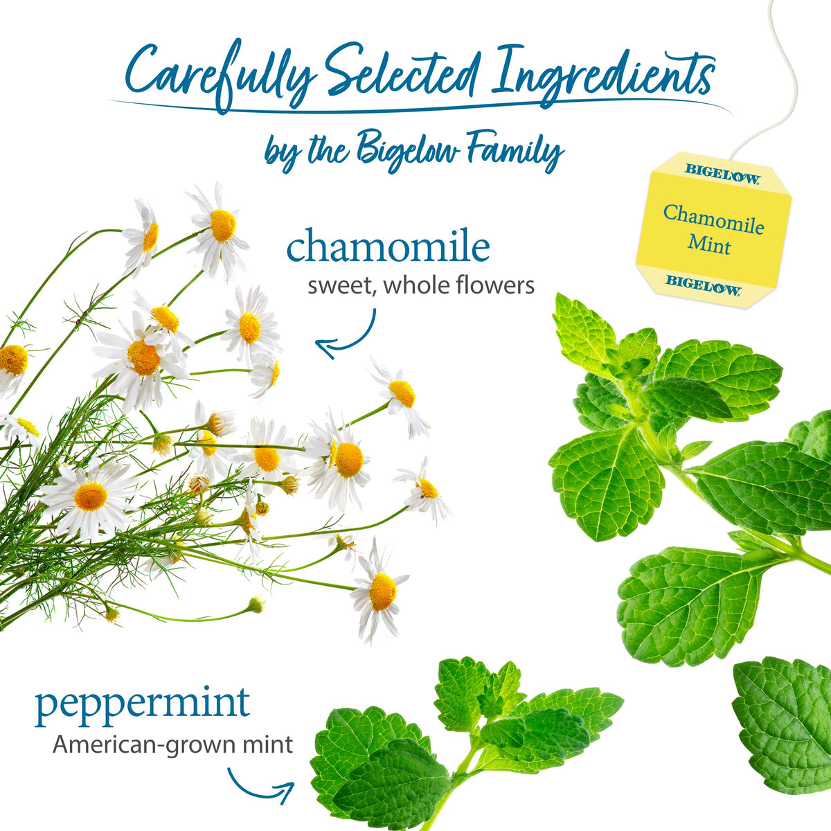 Chamomile Mint Herbal Tea