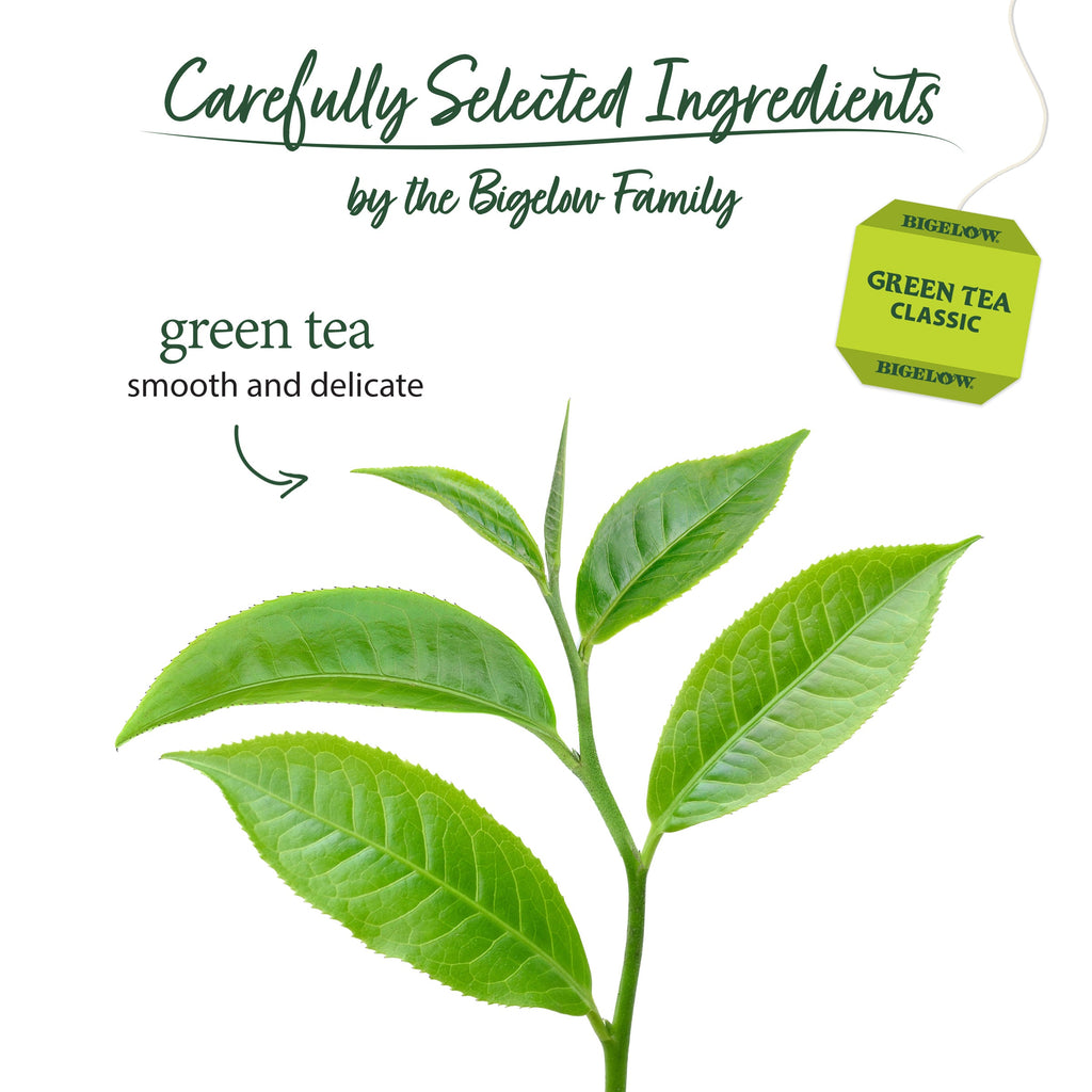 Green Tea 40 Count