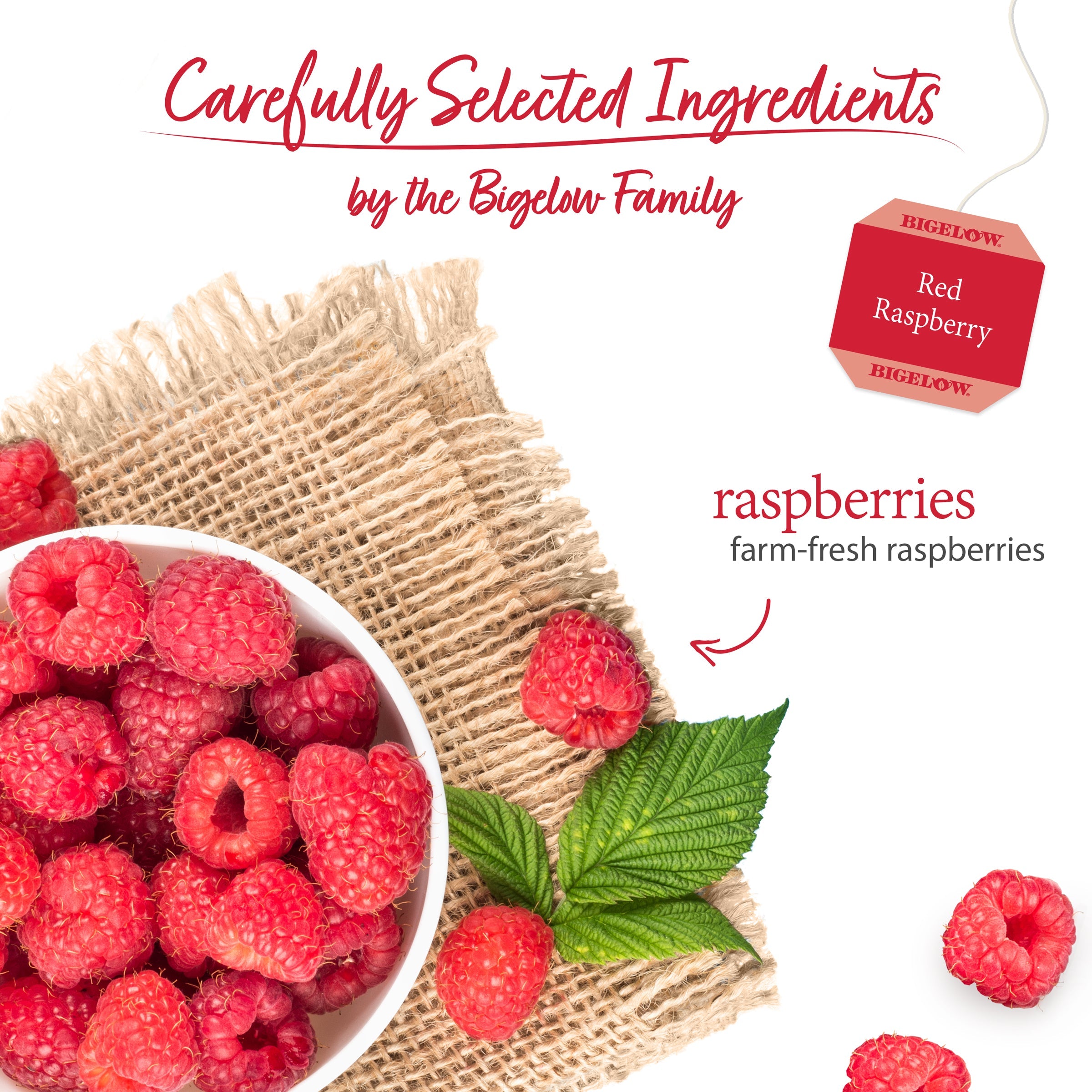 Red Raspberry Herbal Tea