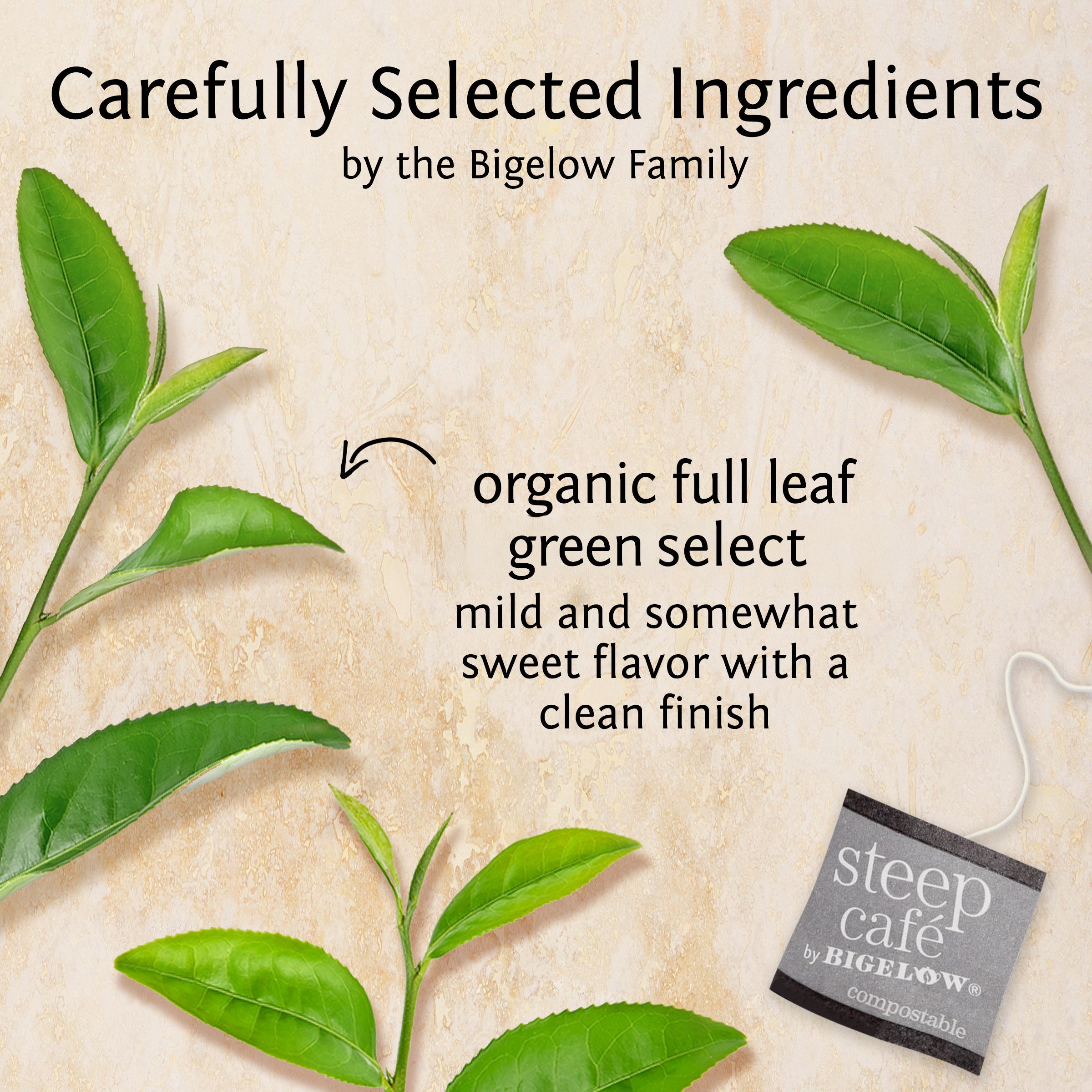 organic green select full leaf green tea