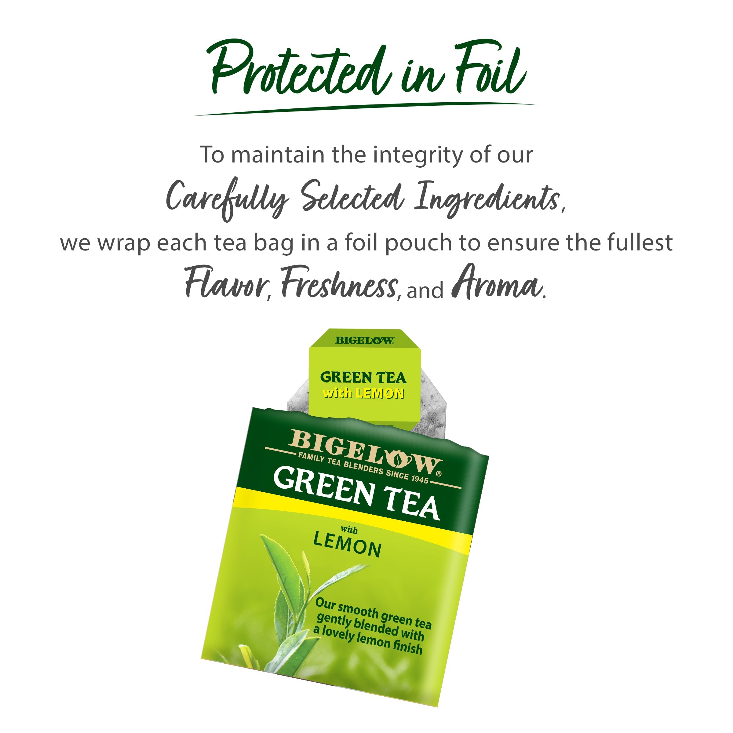 Green Tea 6 Flavor Variety Pack