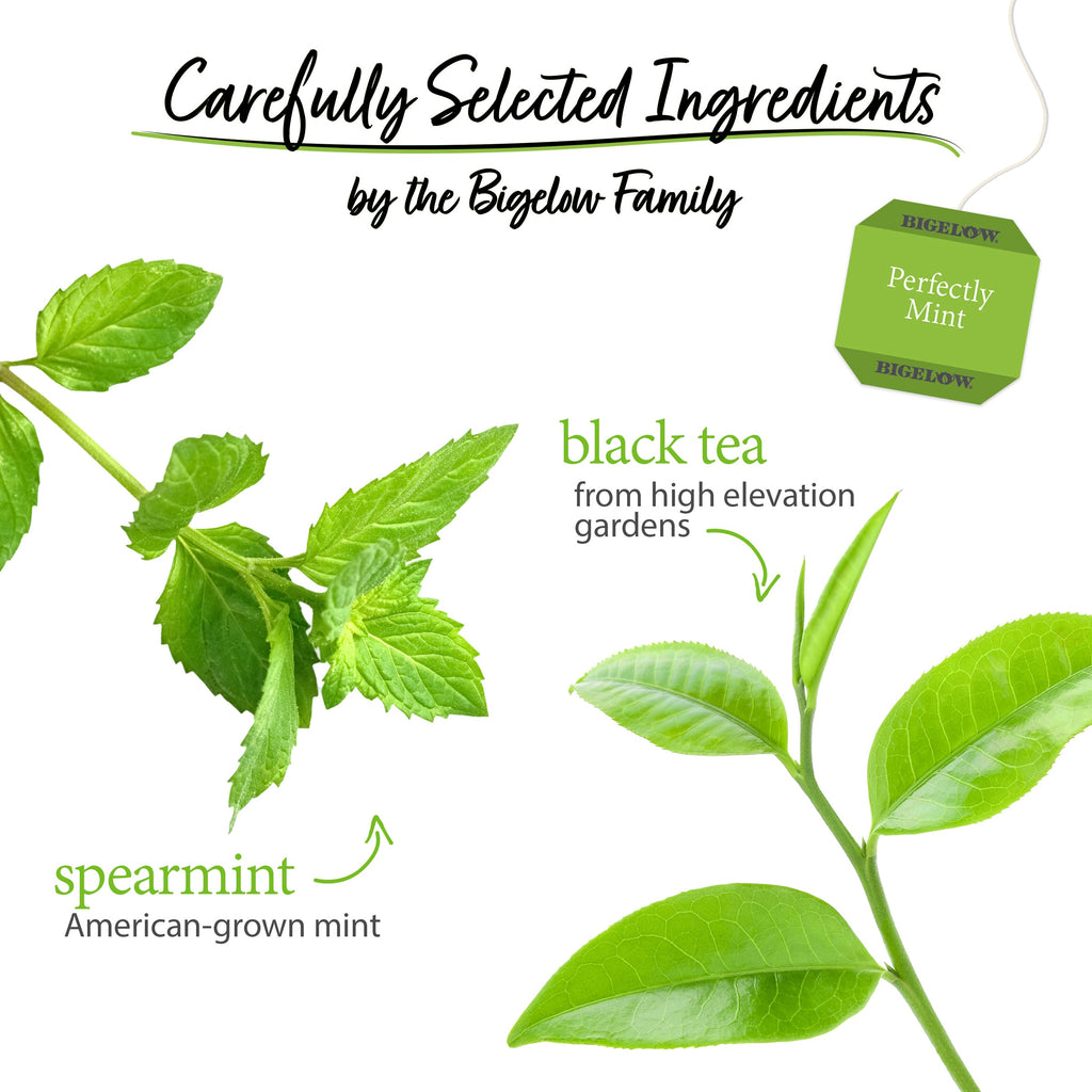 Perfectly Mint Black Tea