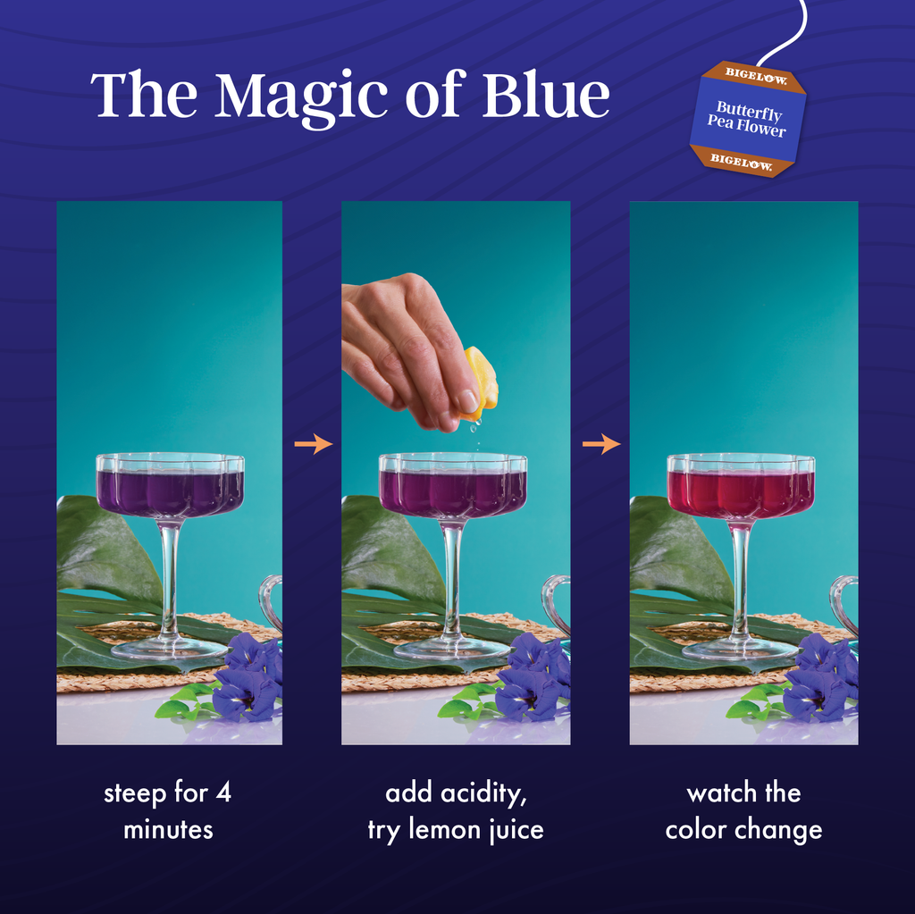 Butterfly Pea Flower Sapphire Bay Herbal Tea