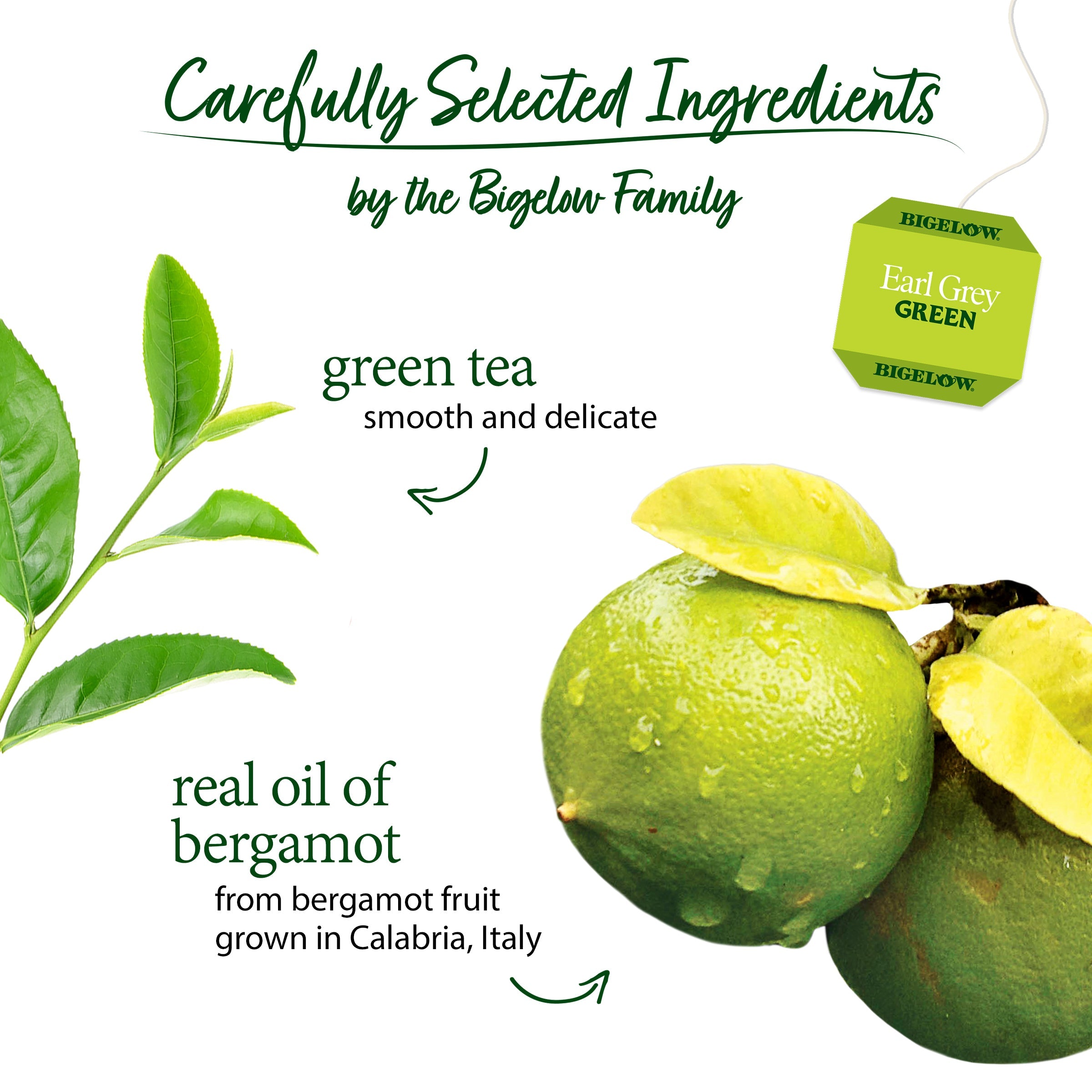 Earl Grey Green Tea