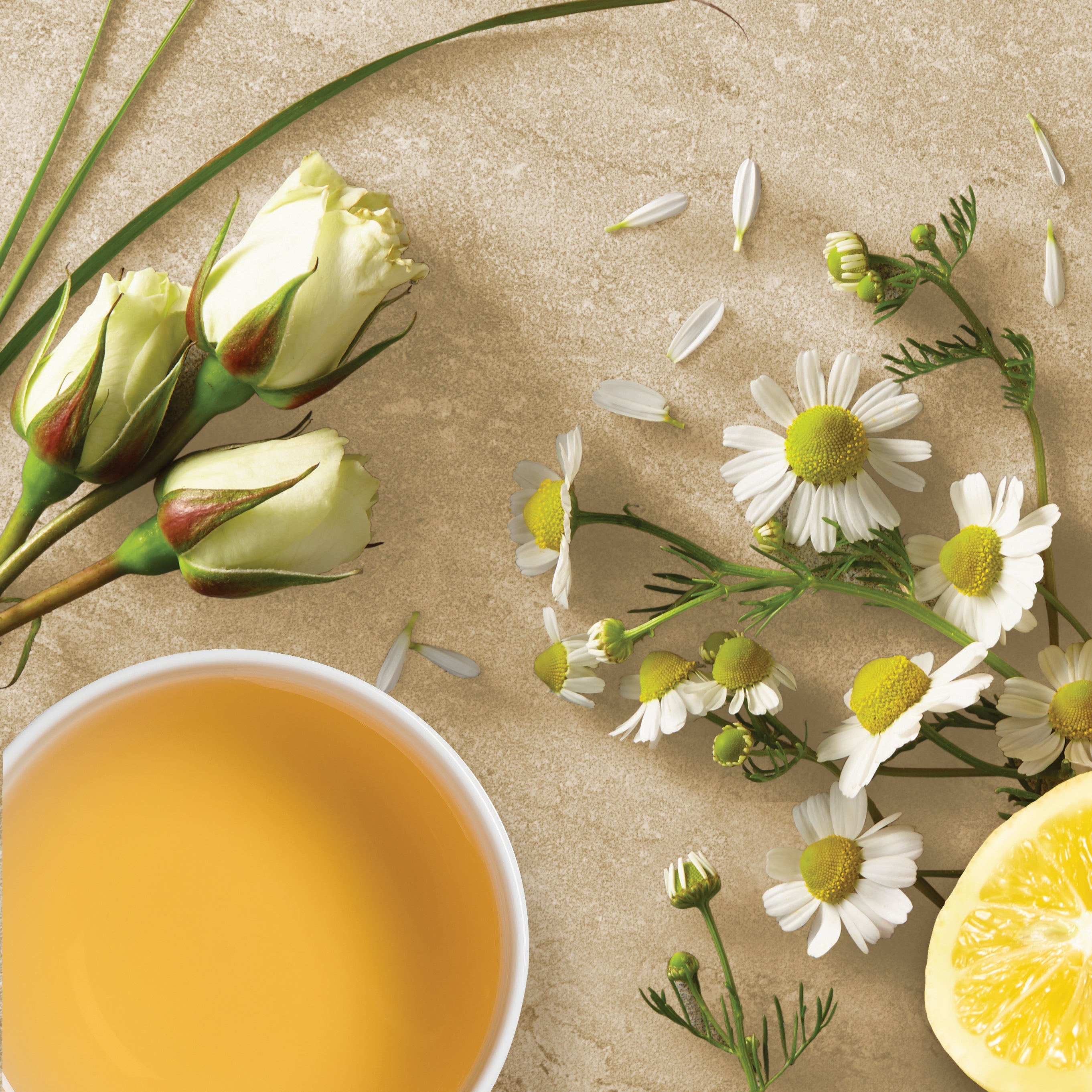 citrus chamomile full leaf herbal tea