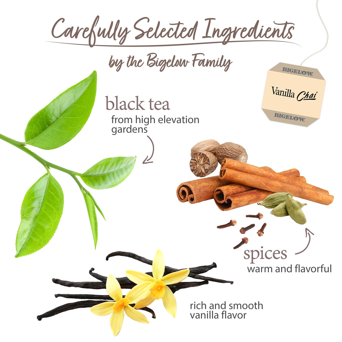 Vanilla Chai Black Tea