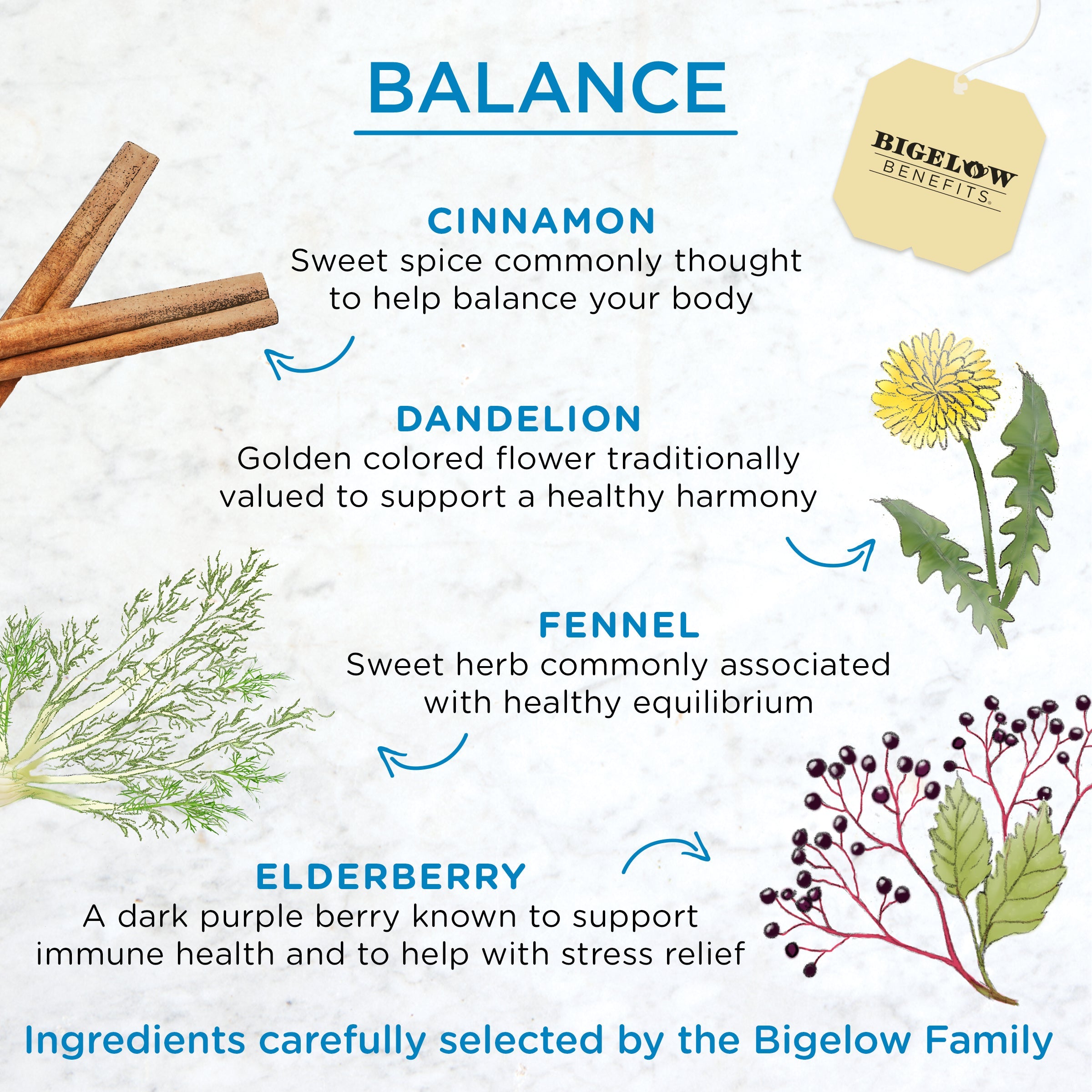 Balance Cinnamon and Blackberry Herbal Tea