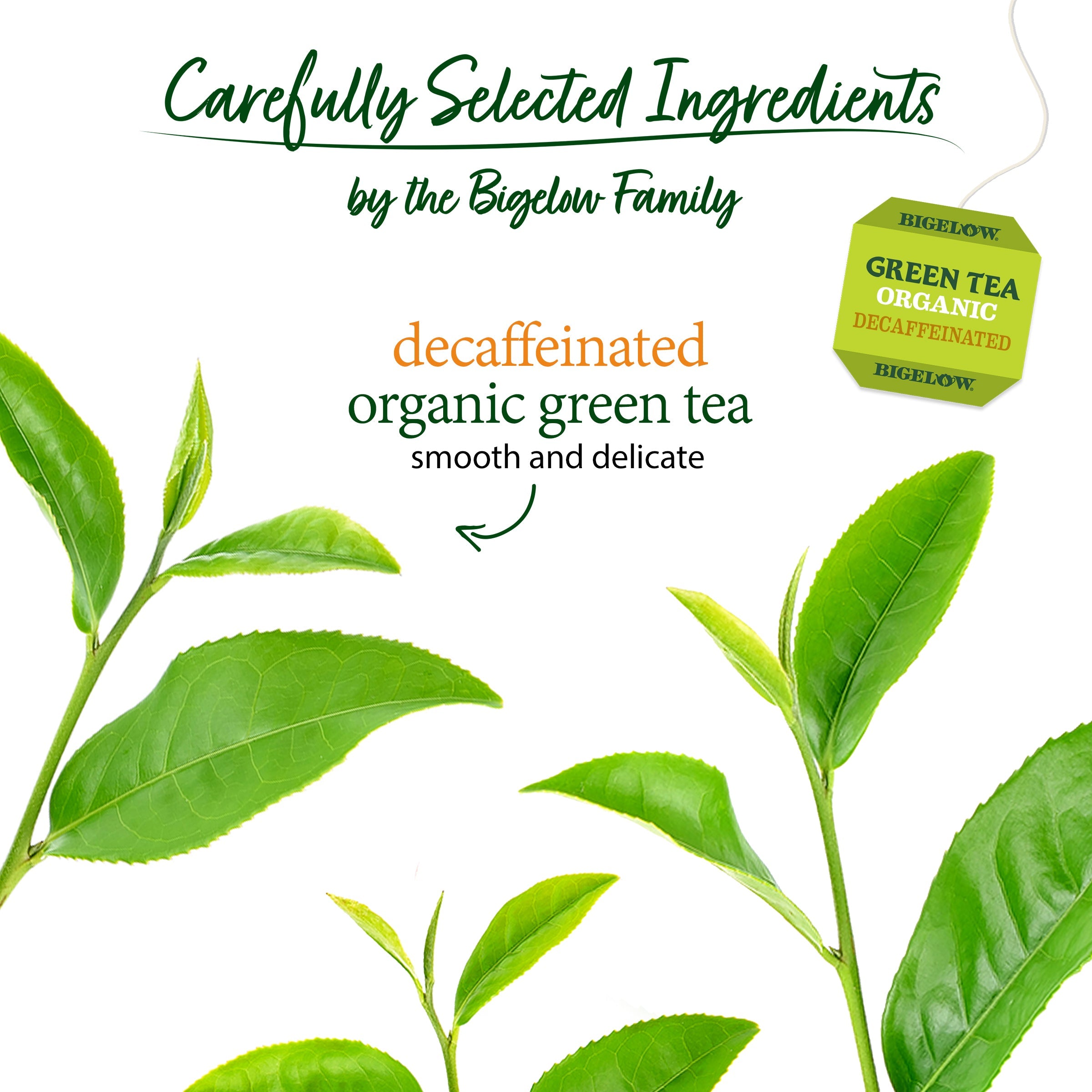 Organic Green Tea Decaf 40 Count
