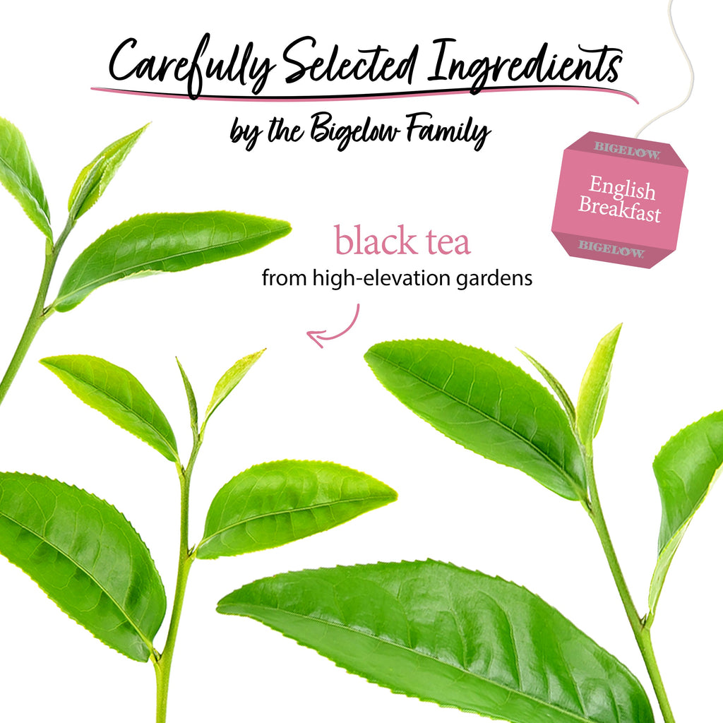 English Breakfast Black Tea