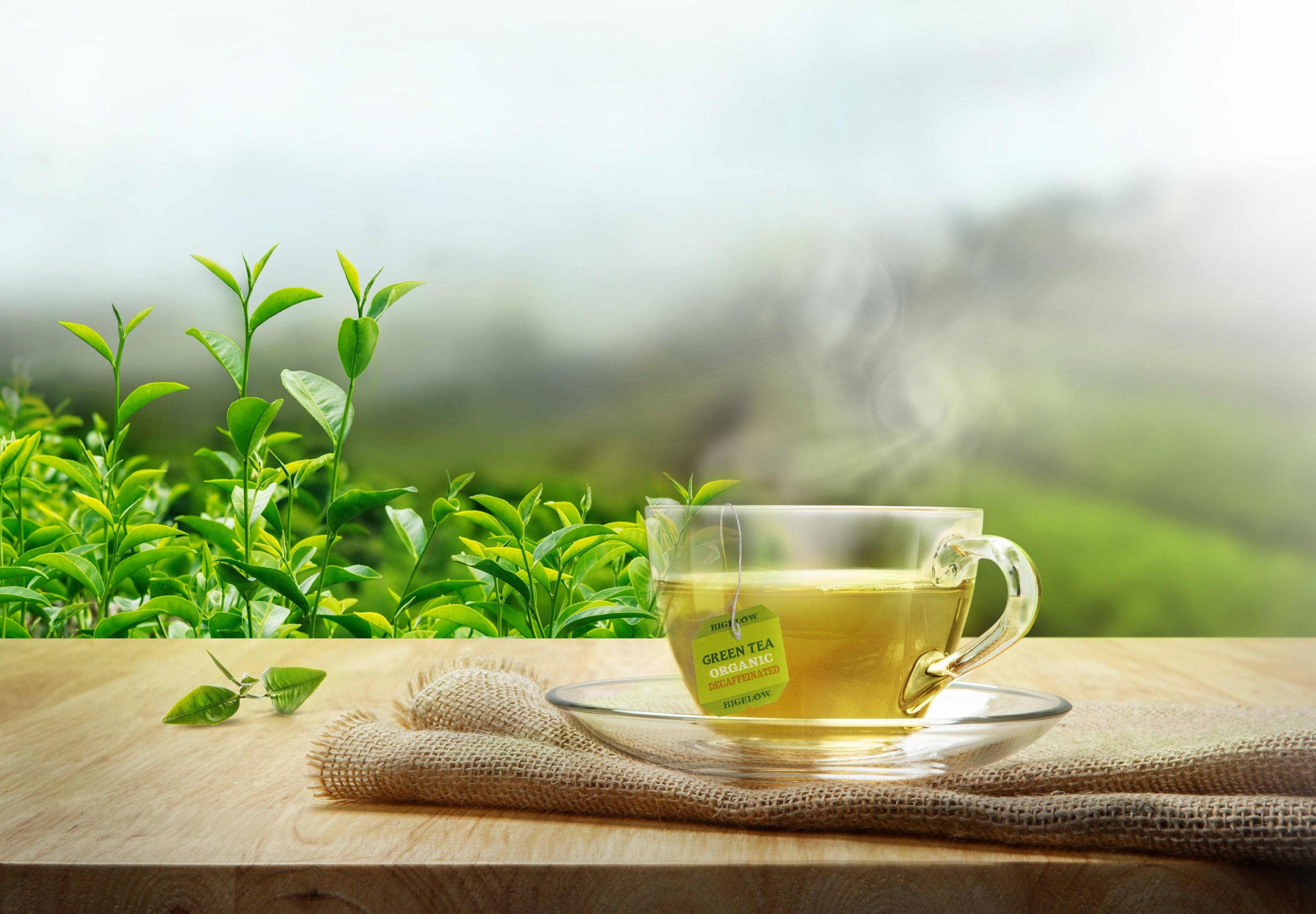 Organic Green Tea Decaf 40 Count