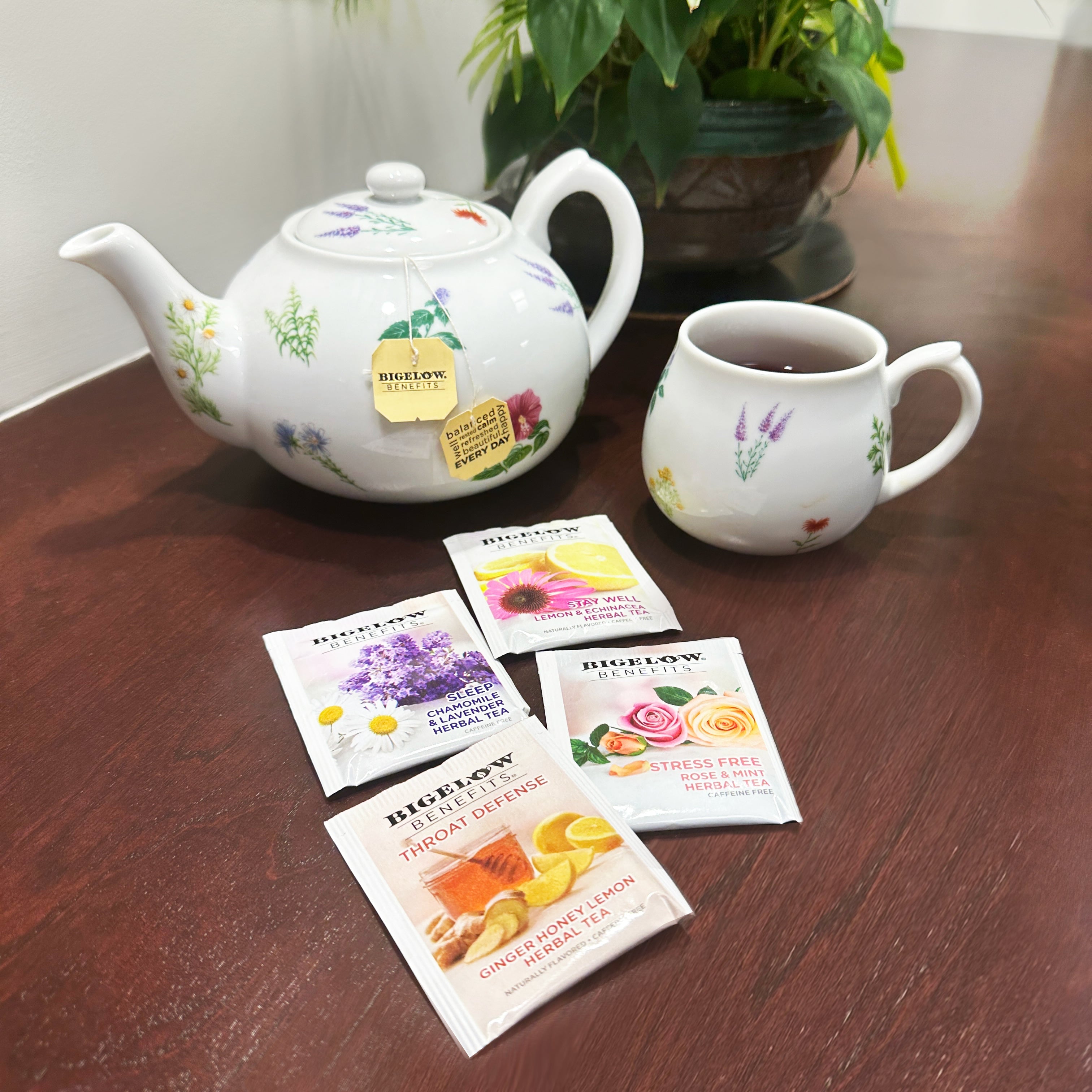 Wellness Tea 6 Flavor Variety Pack