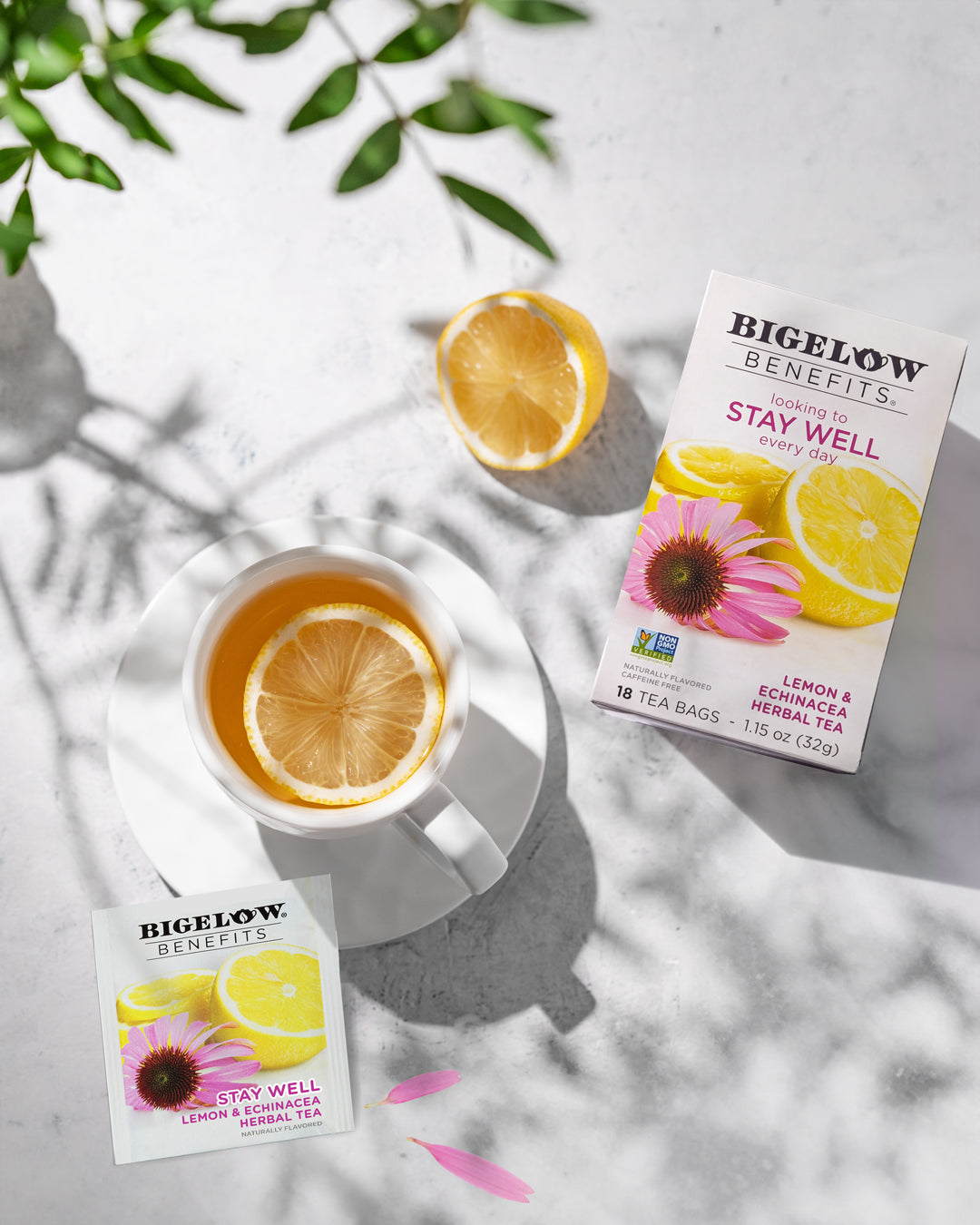 Stay Well Lemon and  Echinacea Herbal Tea