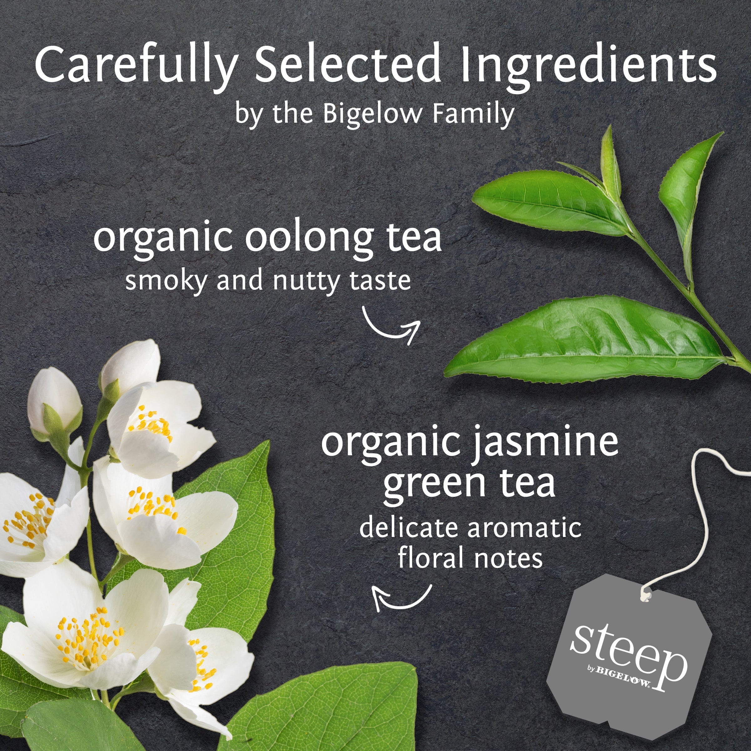 organic oolong and jasmine green tea