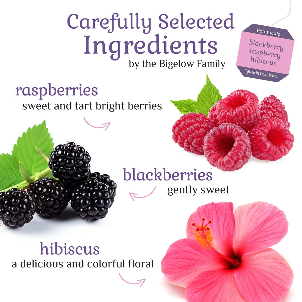 Blackberry Raspberry Hibiscus Cold Water Infusion