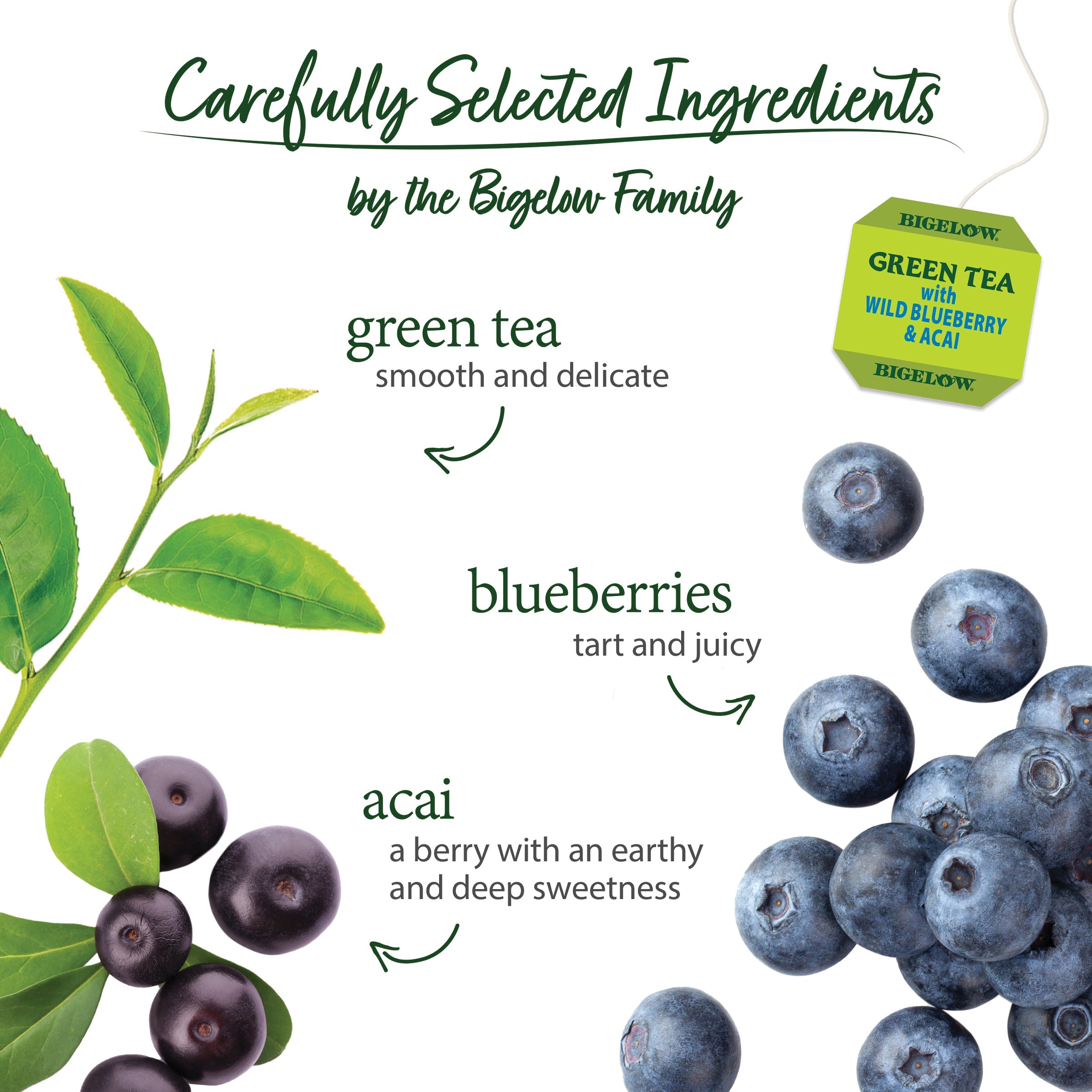 Green Tea with Wild Blueberry Acai