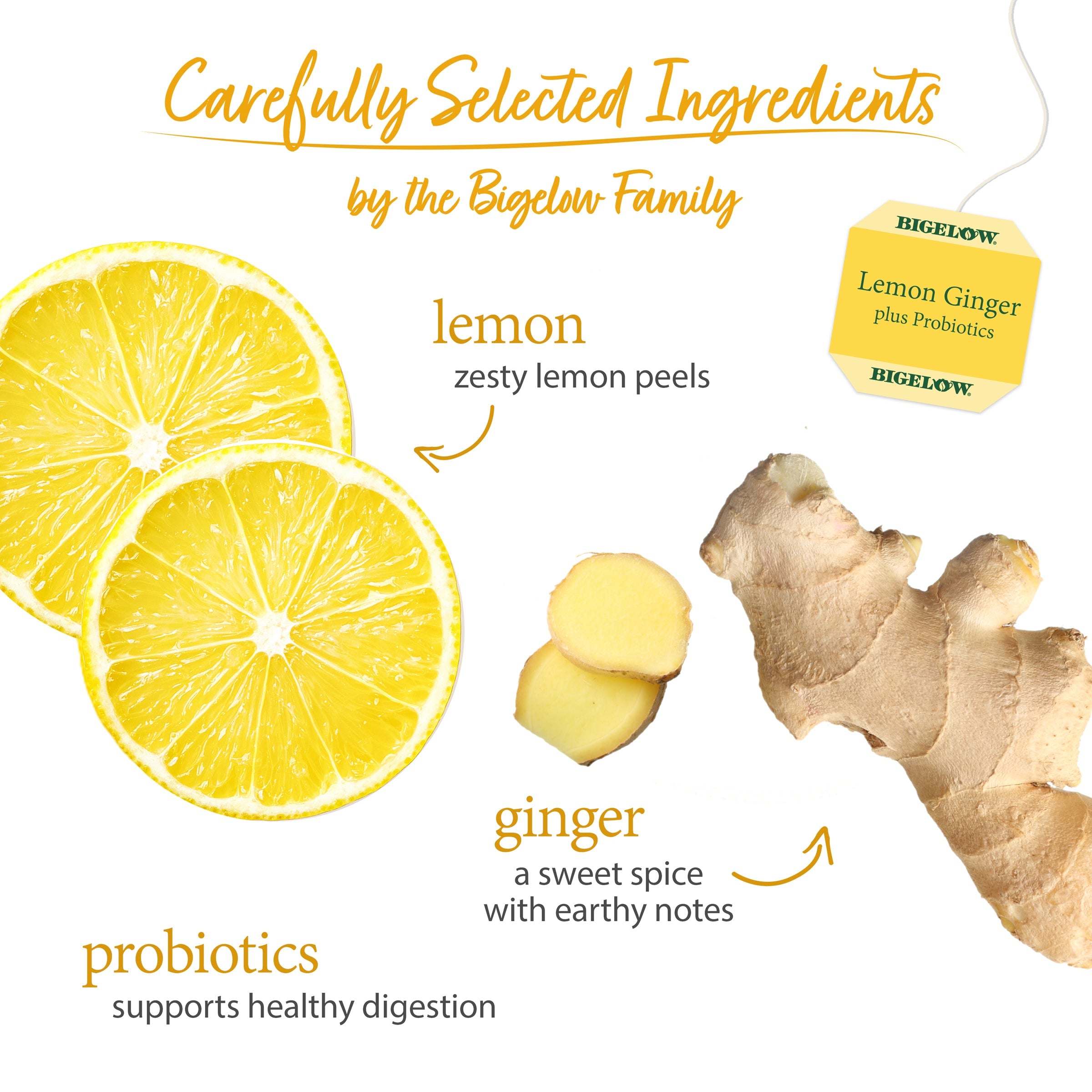 Lemon Ginger Plus Probiotics Herbal Tea