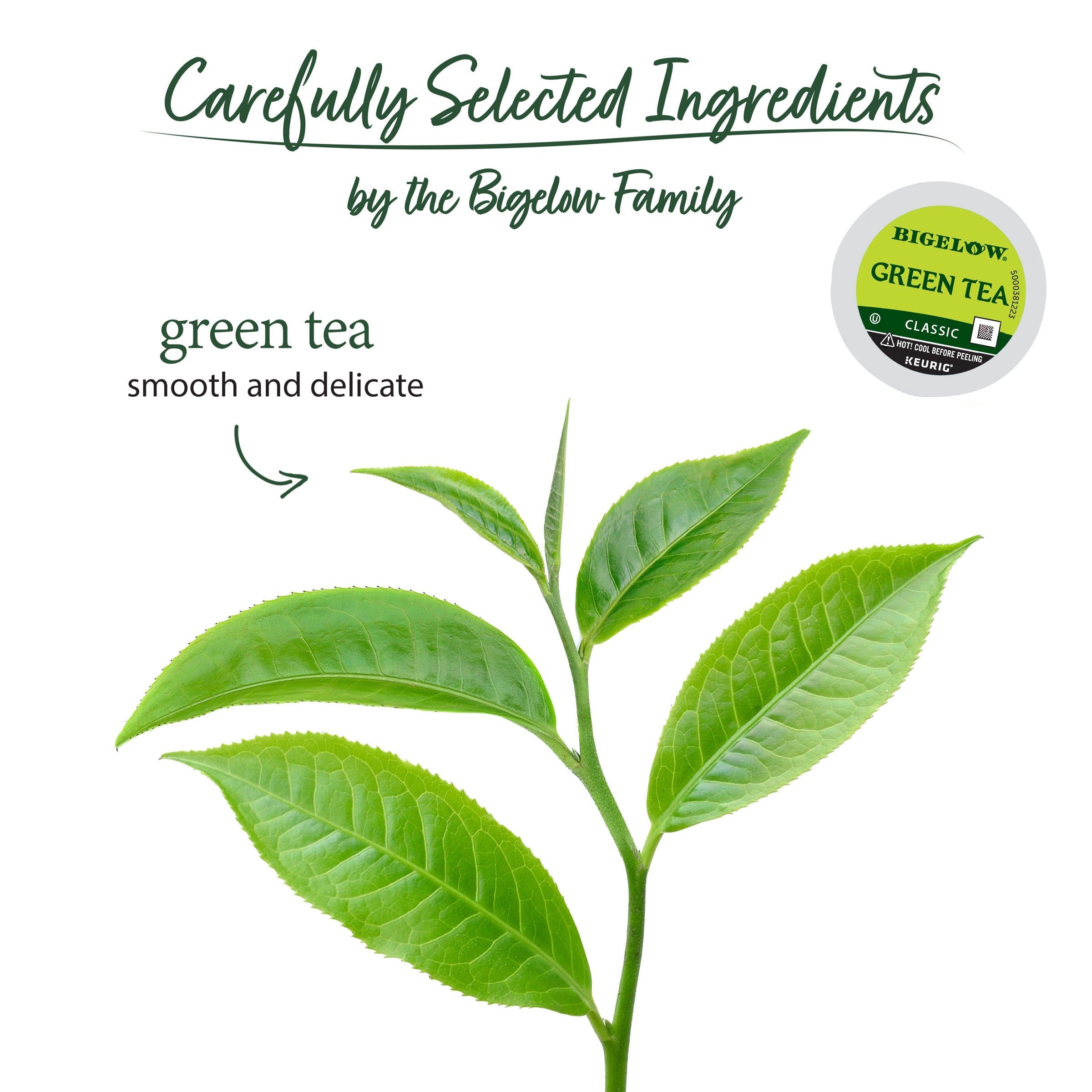 Green Tea K-Cup® Pods 12 Count