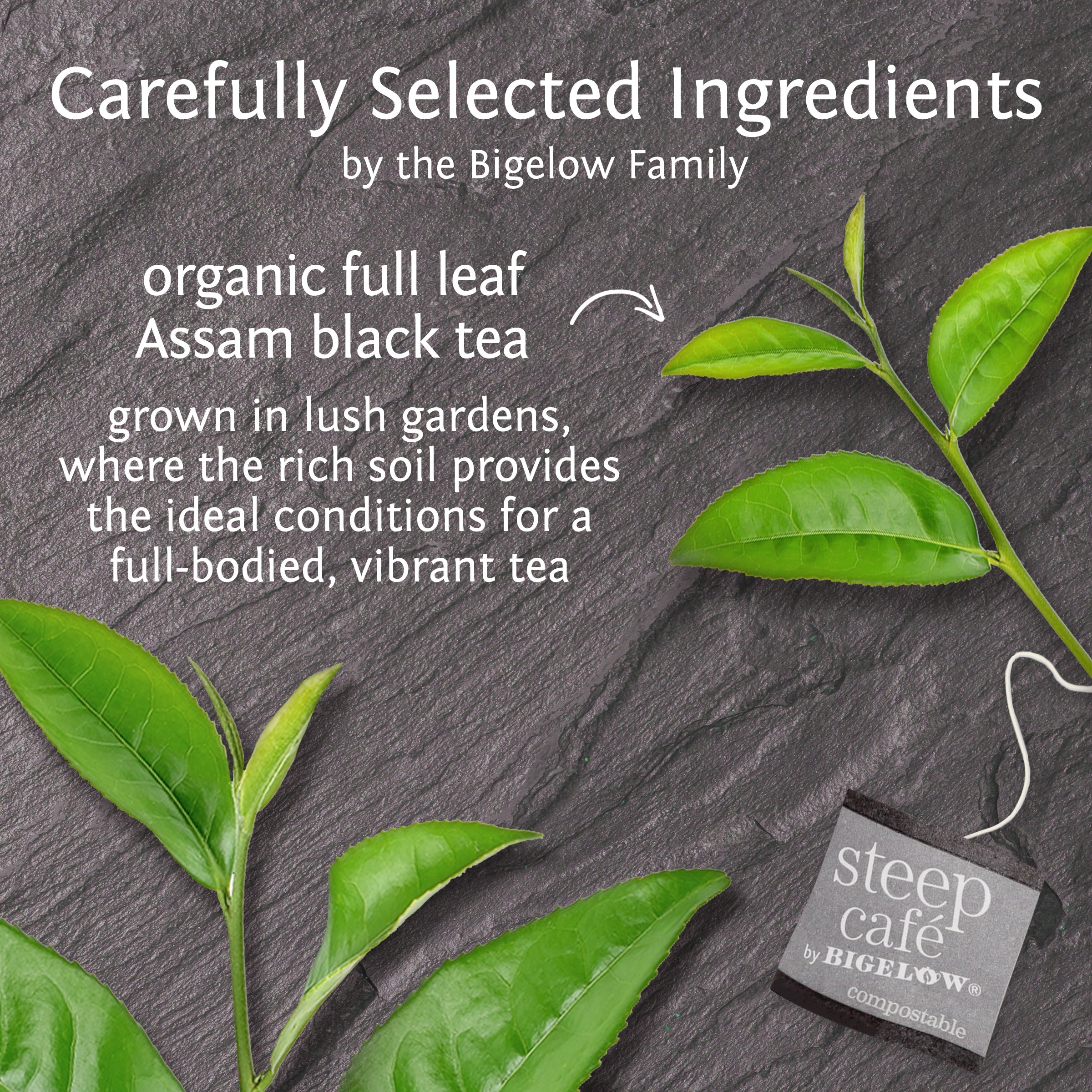 organic english breakfast full leaf black tea